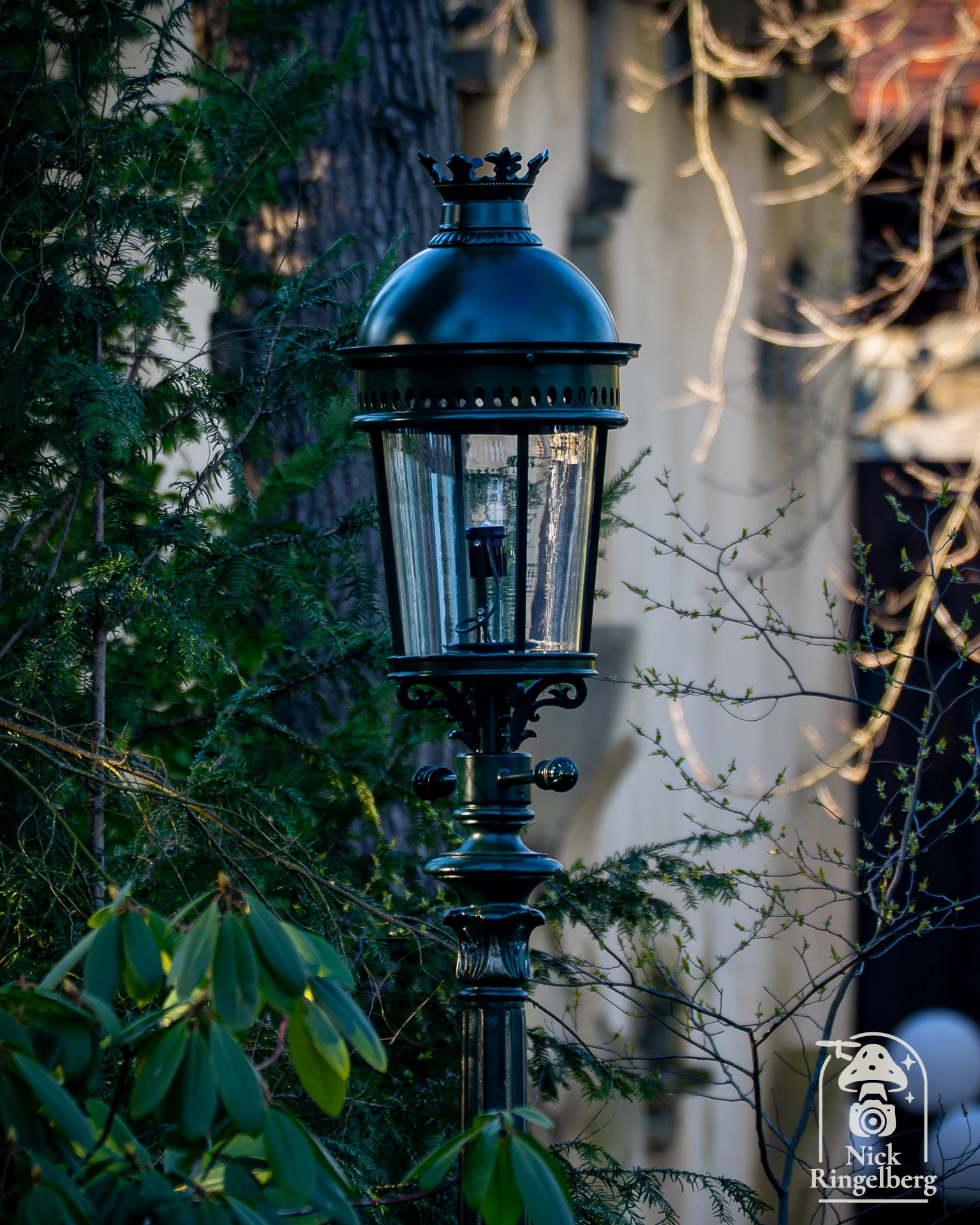 Wat een verschillende lantarenpalen. Langs het nieuwe pad hebben er een paar kroontjes gekregen. #efteling #sprookjesbos