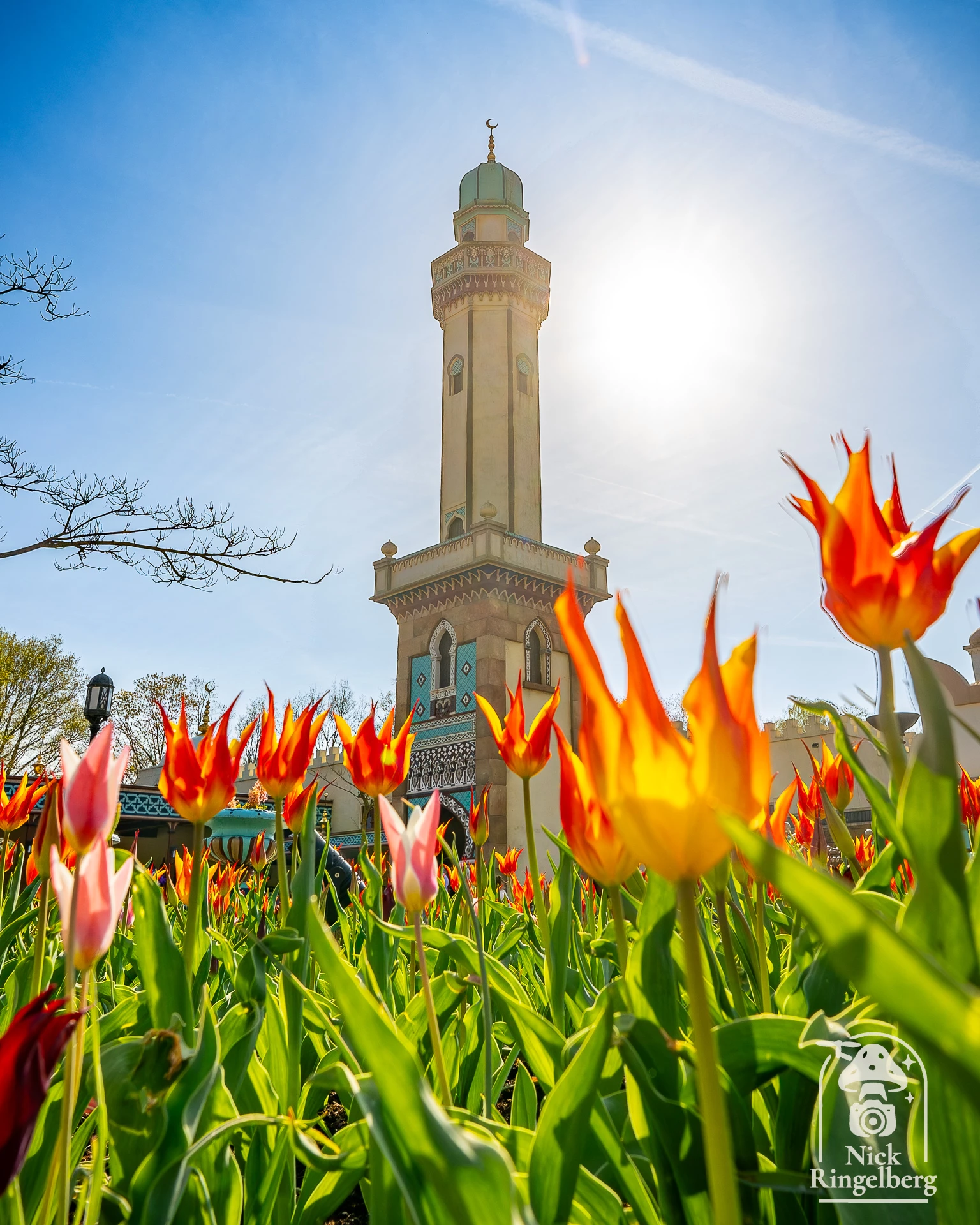 Lente ❤️ #efteling #themeparks #pretparken #lente #brabant