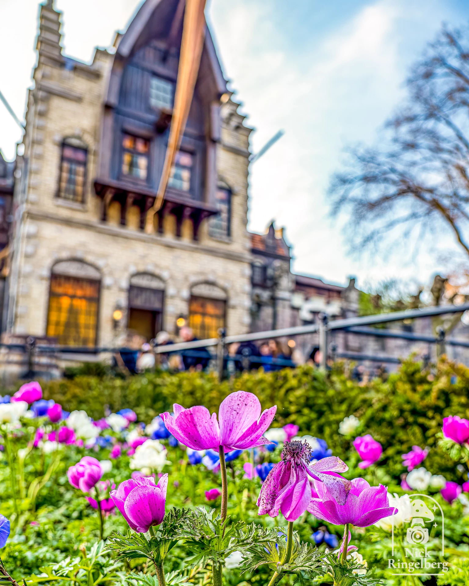 Weekend!!!!! 😱❤️

#efteling #sprookjesbos #themeparks