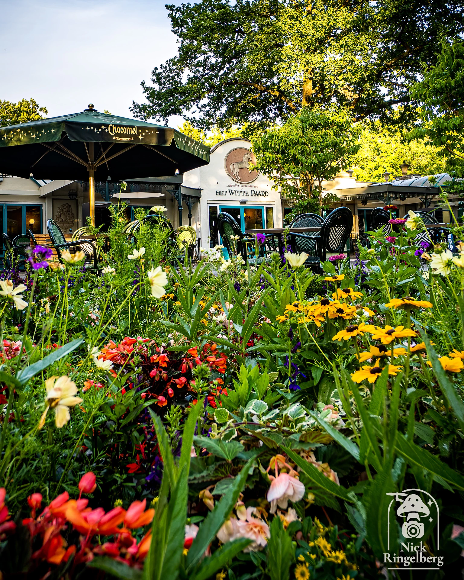 De Efteling ❤️ #efteling #themeparks #pretparken #sprookjesbos #brabant