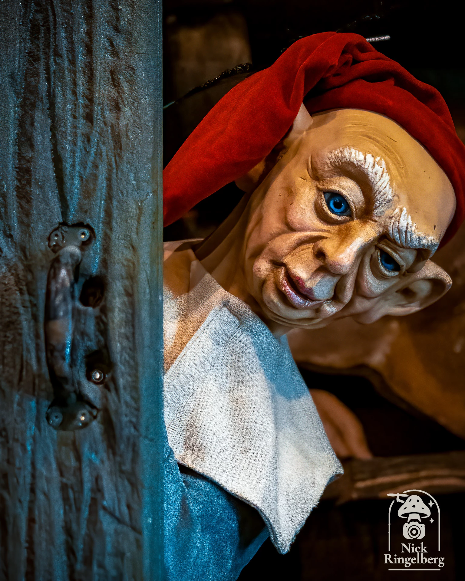 De Efteling #efteling #themeparks