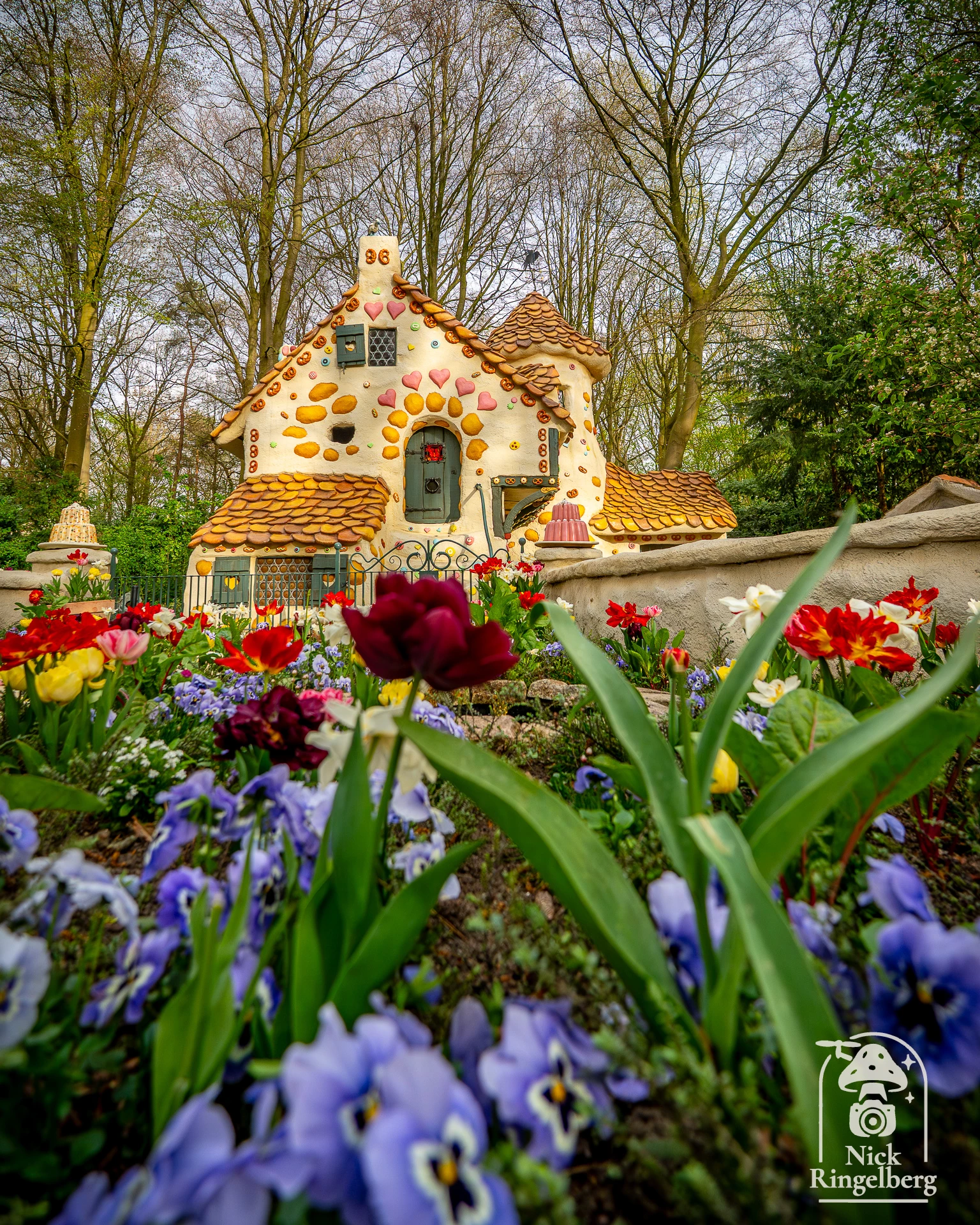 Lente in de Efteling Ik ben eigenlijk meer fan van de Herfst, maar nu is het ook mooi ❤️ #efteling #themeparks #lente #pretpark #brabant