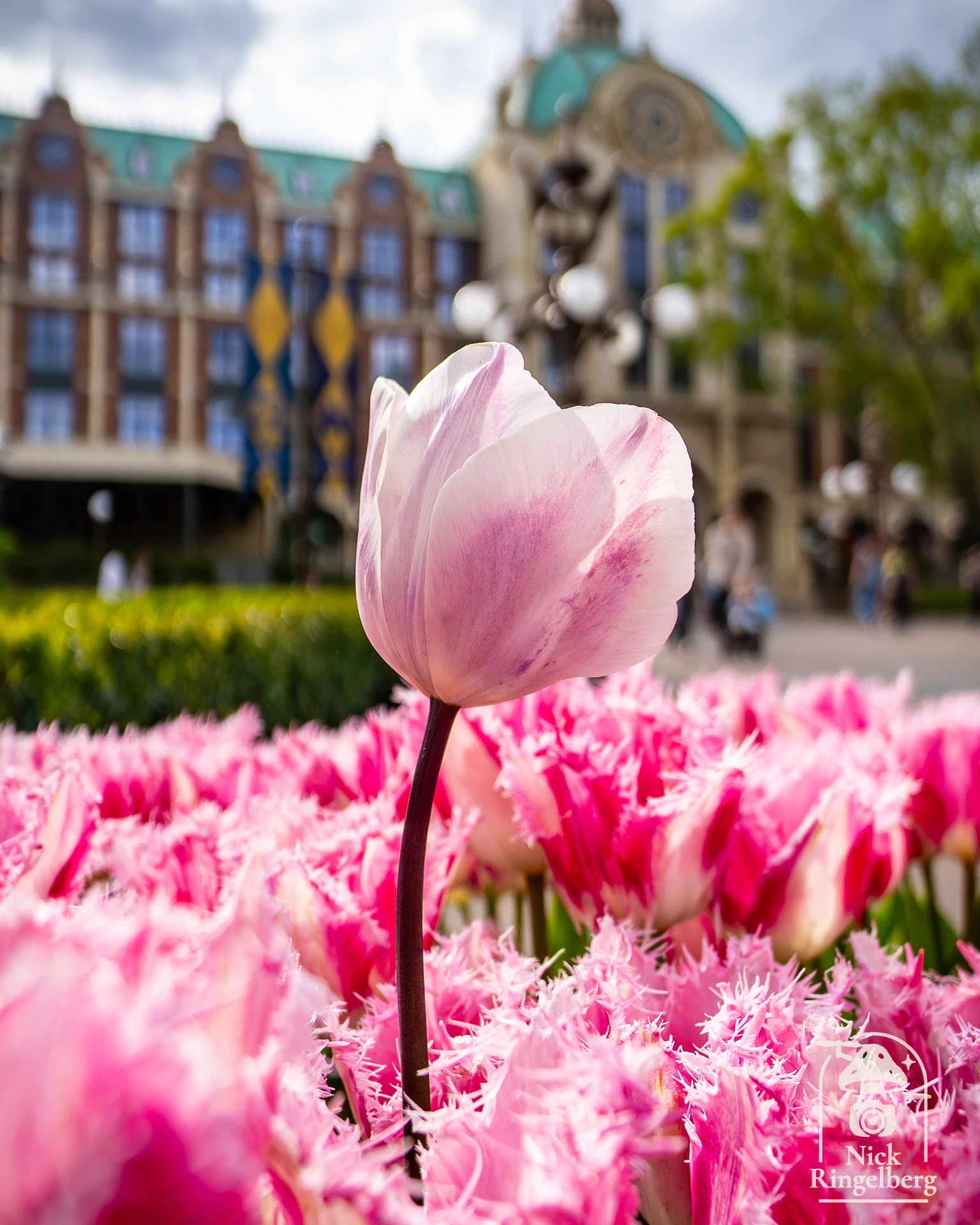 Efteling ❤️ #efteling #happy #themeparks #brabant #pretpark