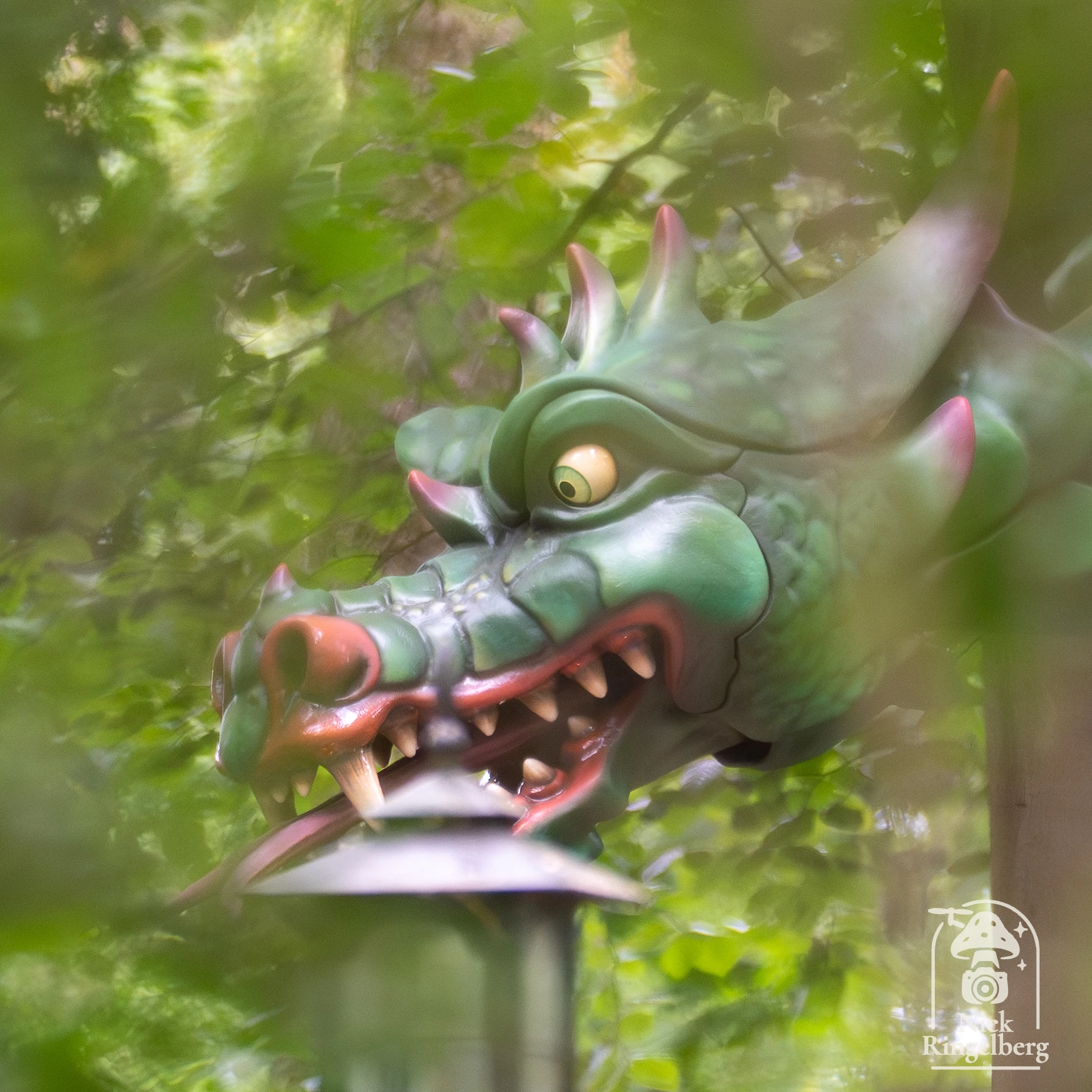 Draak Lichtgeraakt #efteling #draaklichtgeraakt #sprookjesbos #draak #themeparks