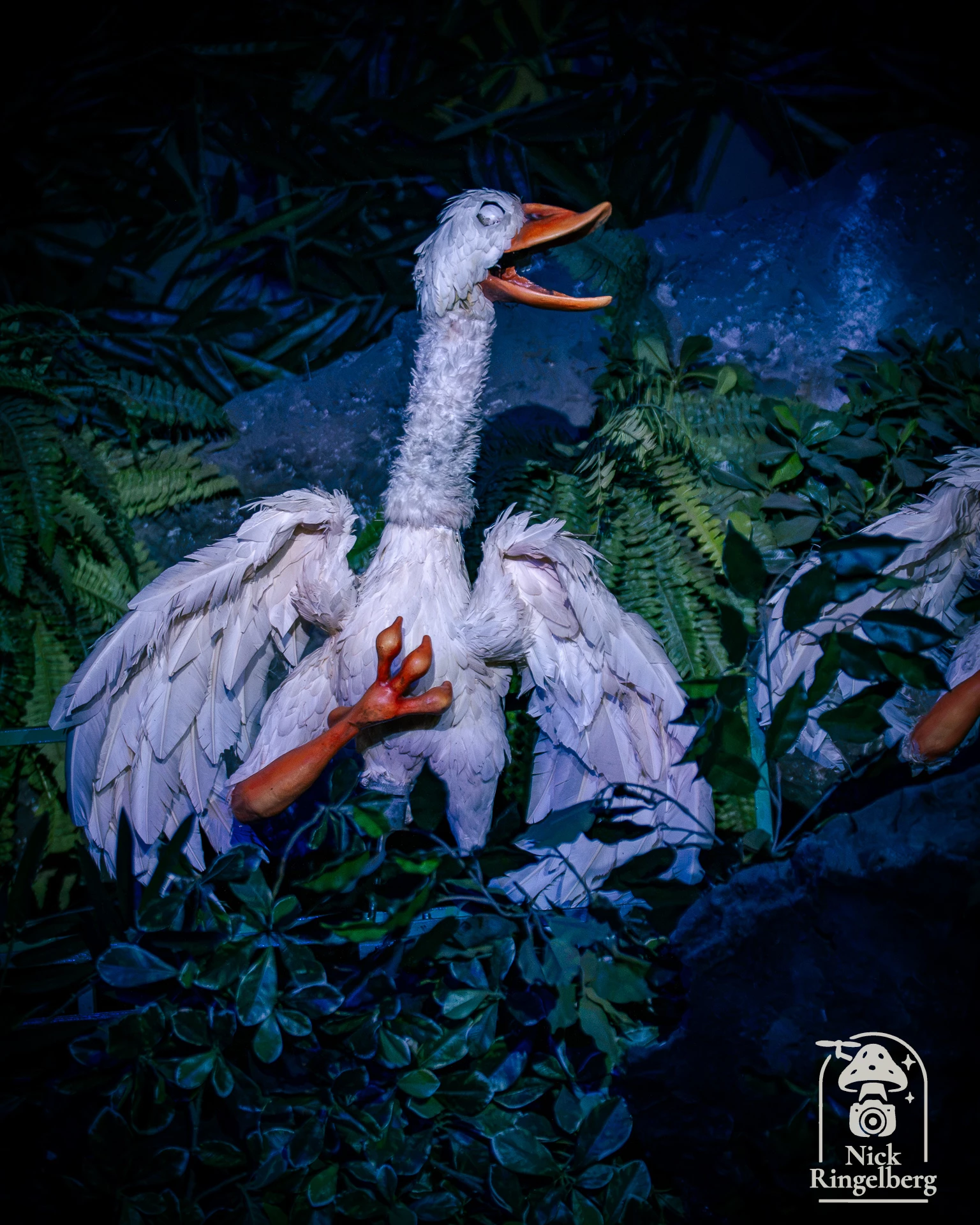 Efteling ❤️ #Efteling #Kaatsheuvel #Pretpark #themeparks #zomerefteling