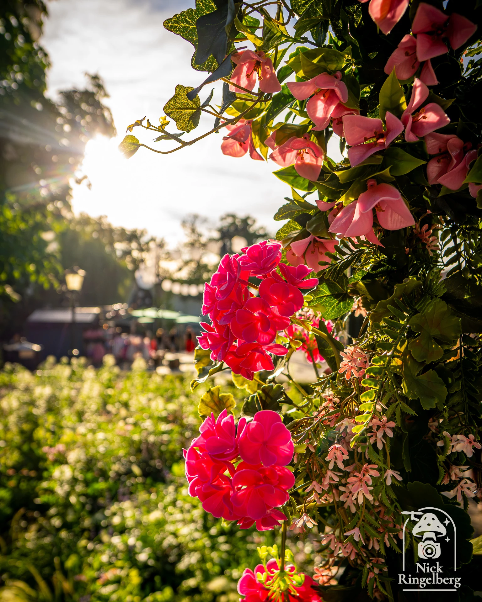 De Efteling 🥳 #efteling #themepark #entertainment #brabant