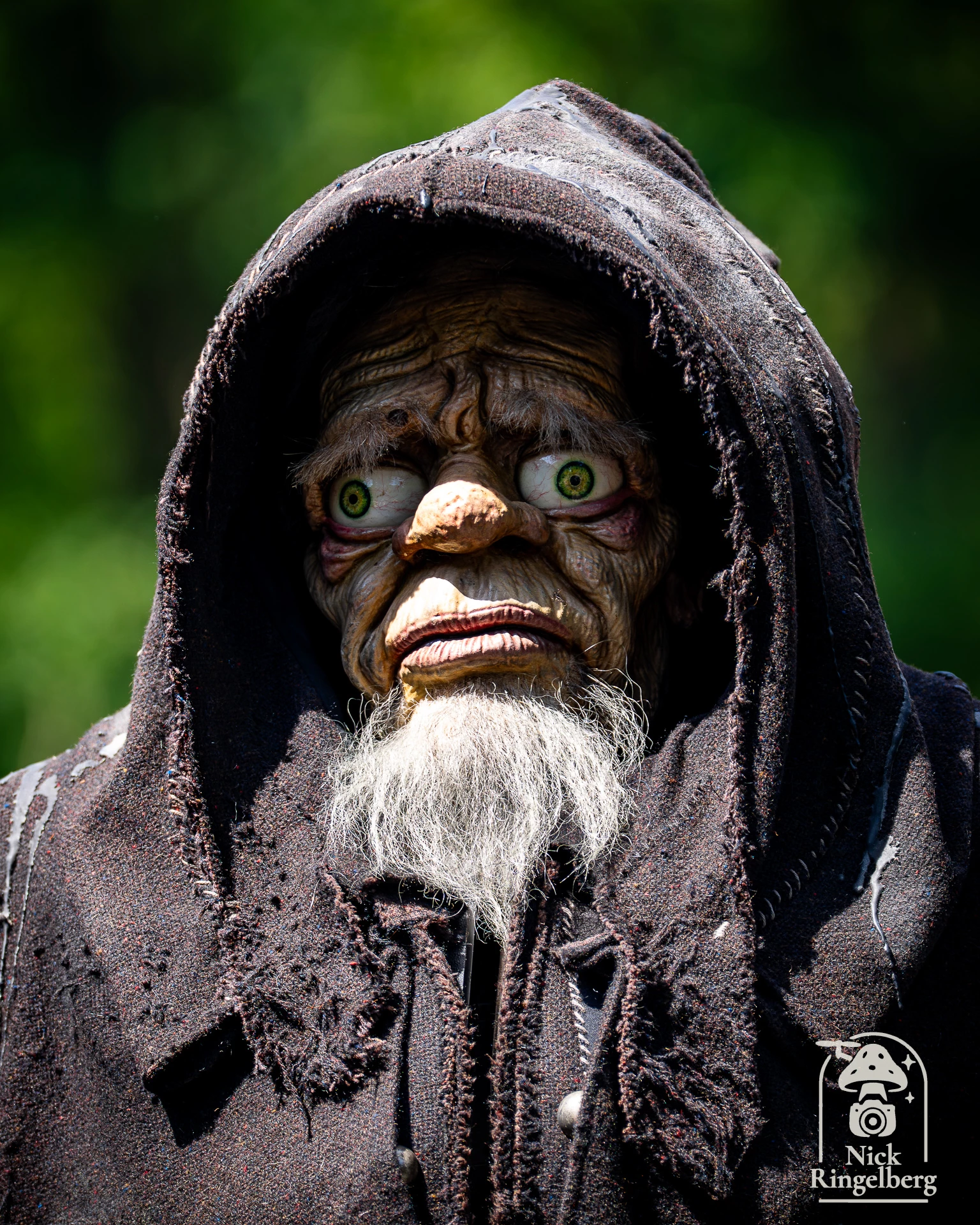 Wammes! Nog wat foto’s uit de duistere wereld van Danse Macabre. Wammes blijft toch wel een heerlijk karakter om vast te leggen. #efteling #dansemacabre #wammes #themeparks