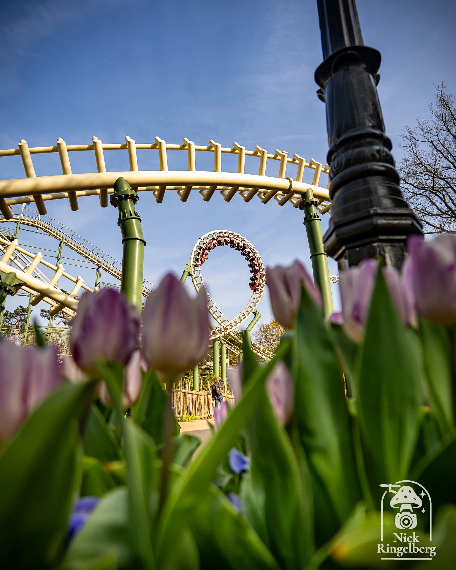 Wie heeft er al zin om weer onder de poort te kunnen lopen van Raveleijn? #Efteling #themeparks #raveleijn