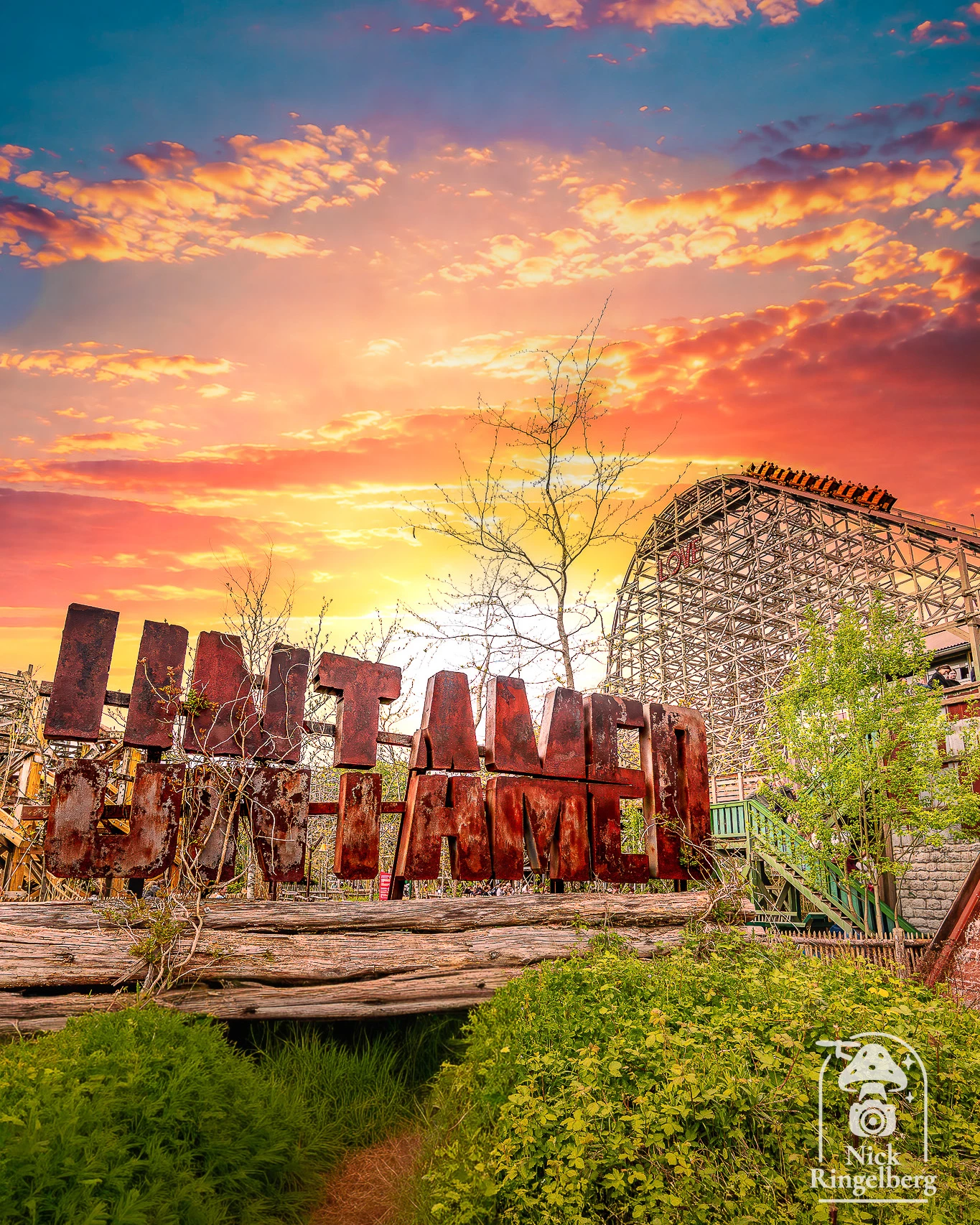 Untamed! #walibi #walibiholland #rollercoaster #themeparks