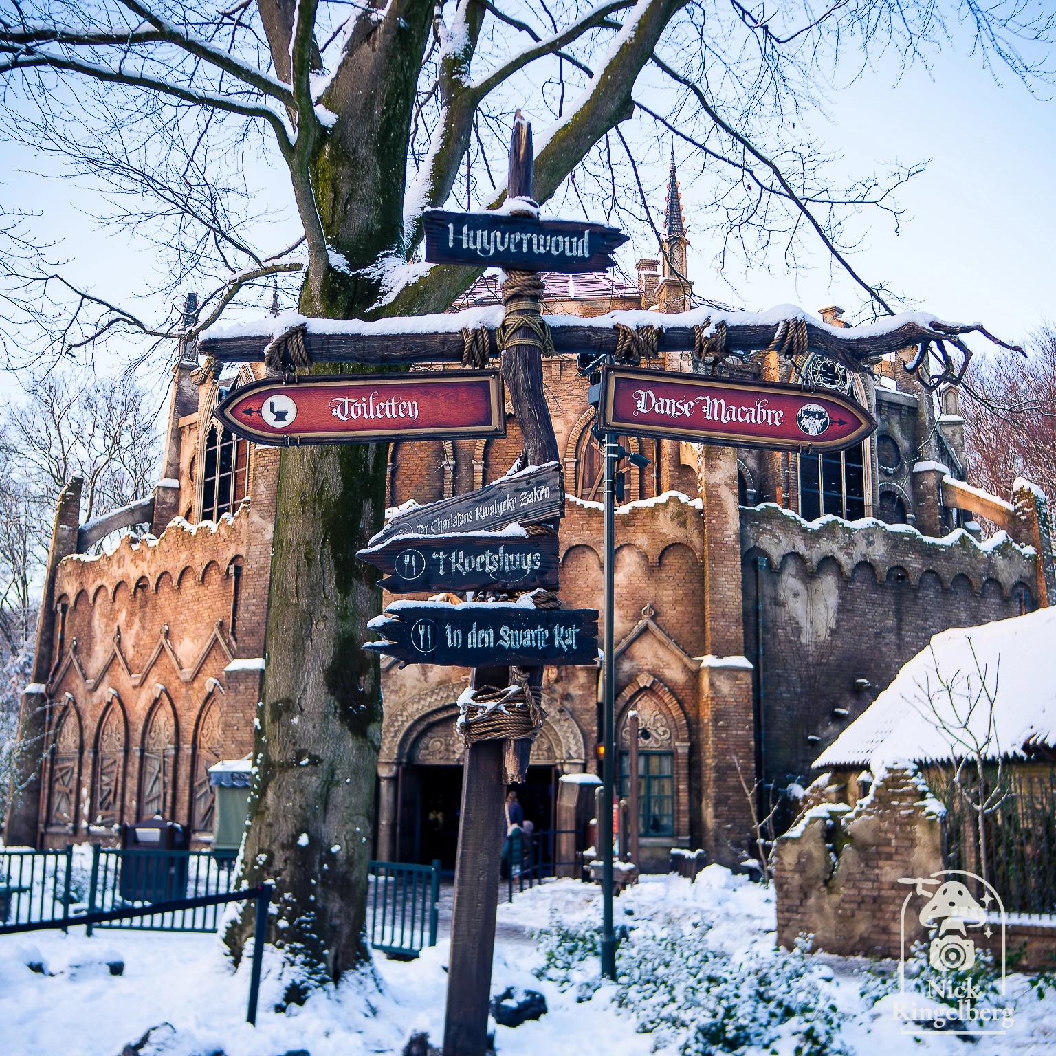 Wie heeft er al zin in de Winter Efteling 😱❤️ #efteling #winterefteling #themeparks #winter #snow