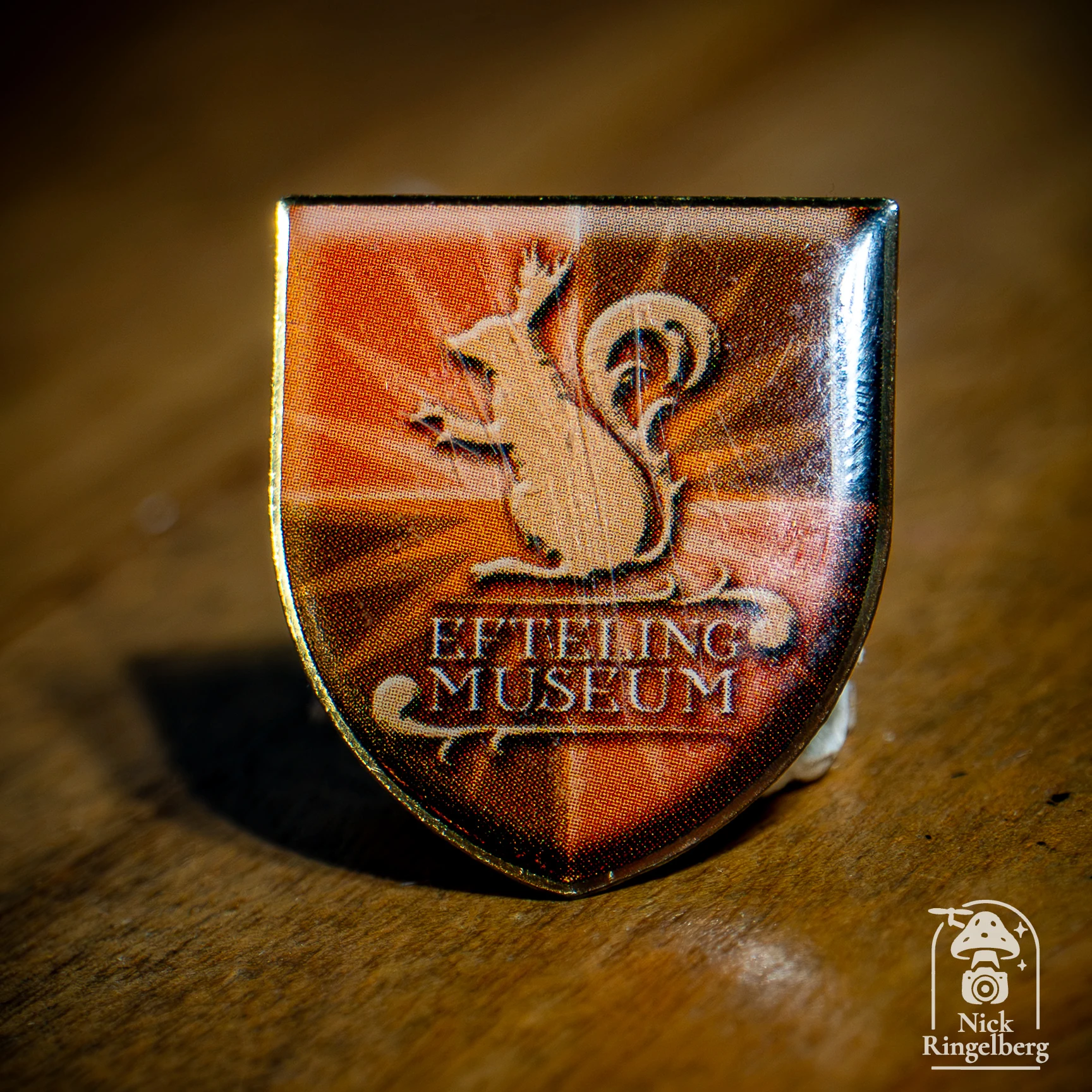 Efteling Pins #efteling #themeparks #pins #verzameling