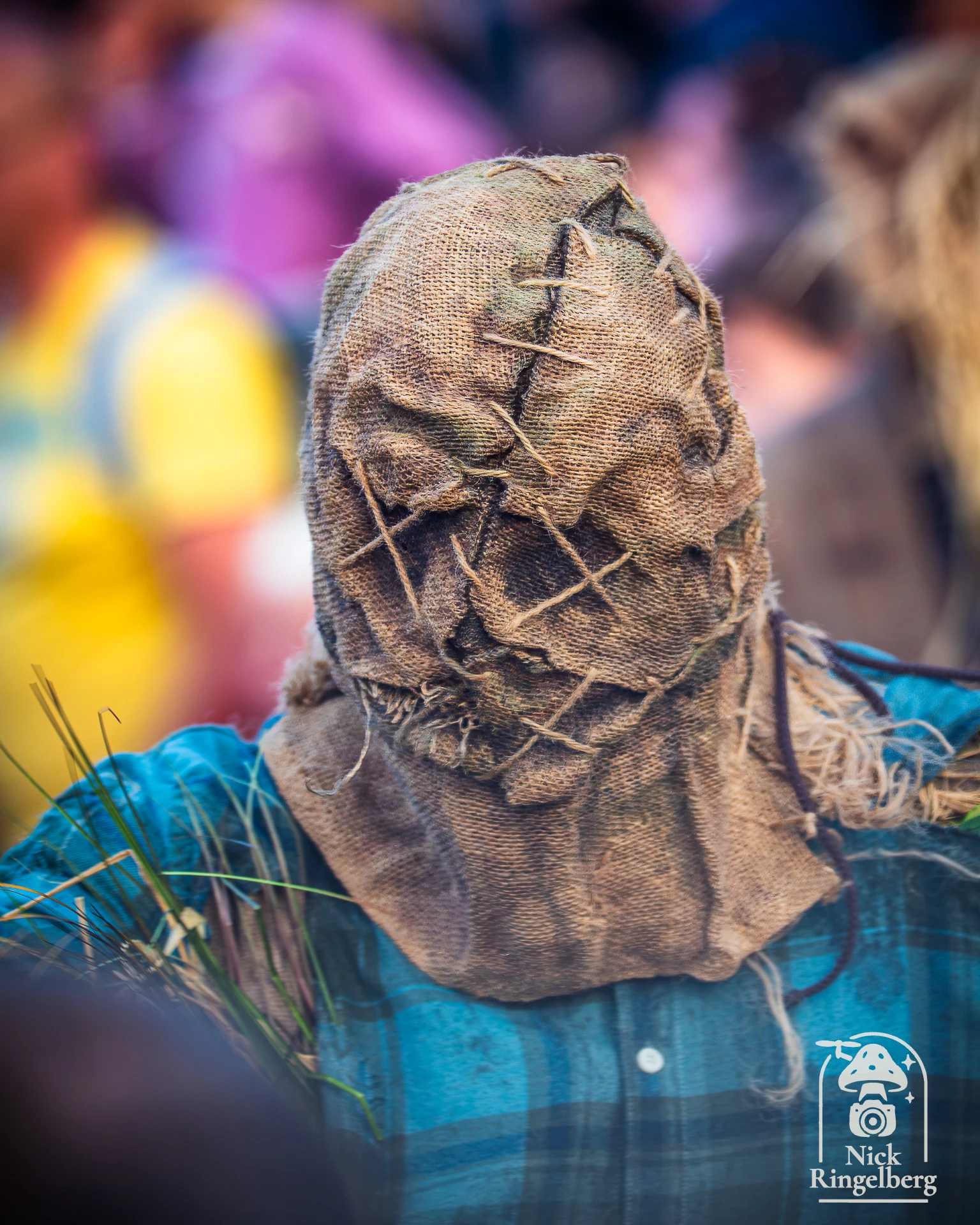 Halloween in Toverland is weer begonnen, maar de start van gisteren liep niet helemaal zoals gepland… Later kwam de sfeer gelukkig goed op gang. Was jij erbij? Hoe heb jij de avond ervaren: goed geregeld, chaos of ergens ertussenin? #Toverland #Halloween