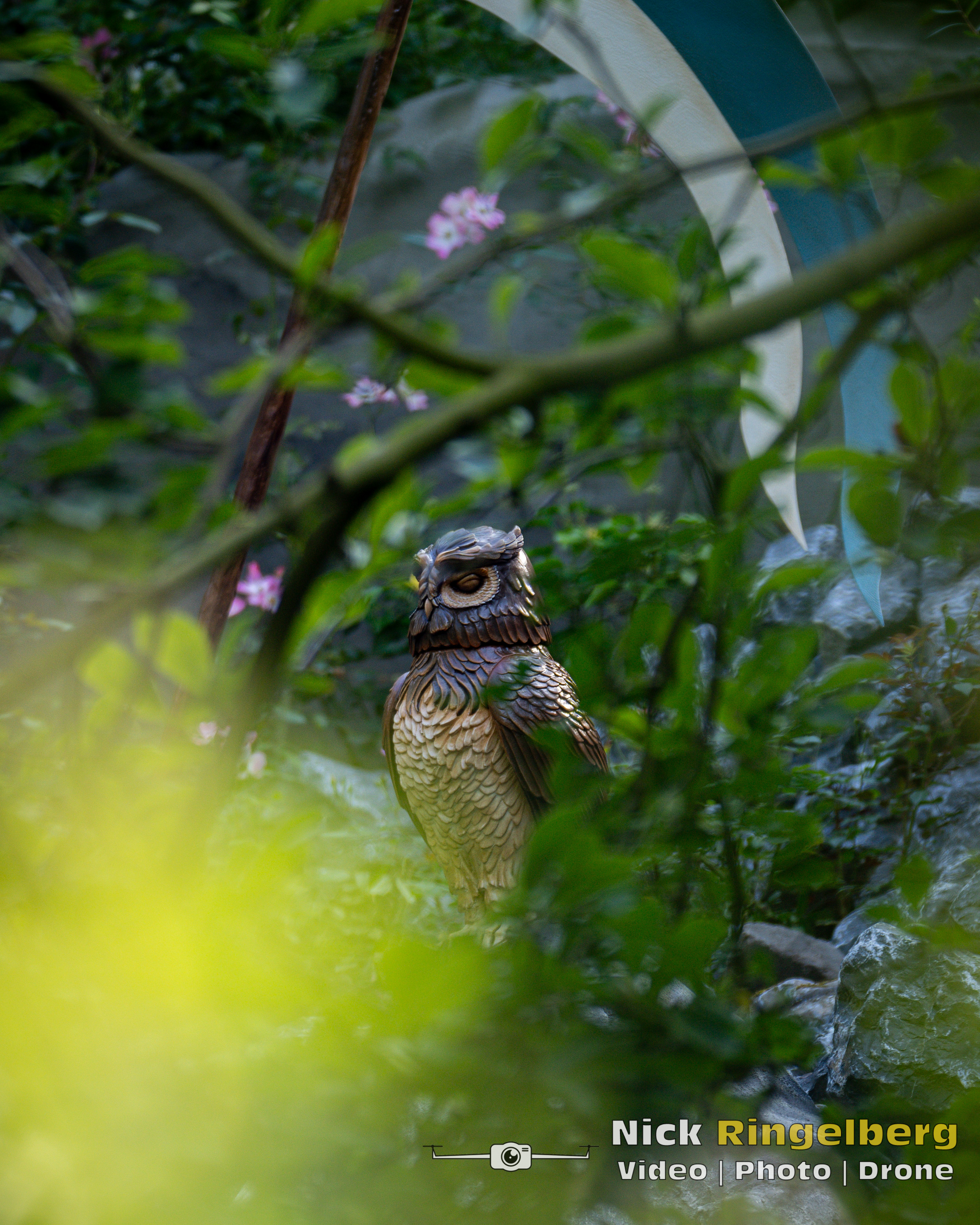 Doornroosje Detail foto wachter en uil