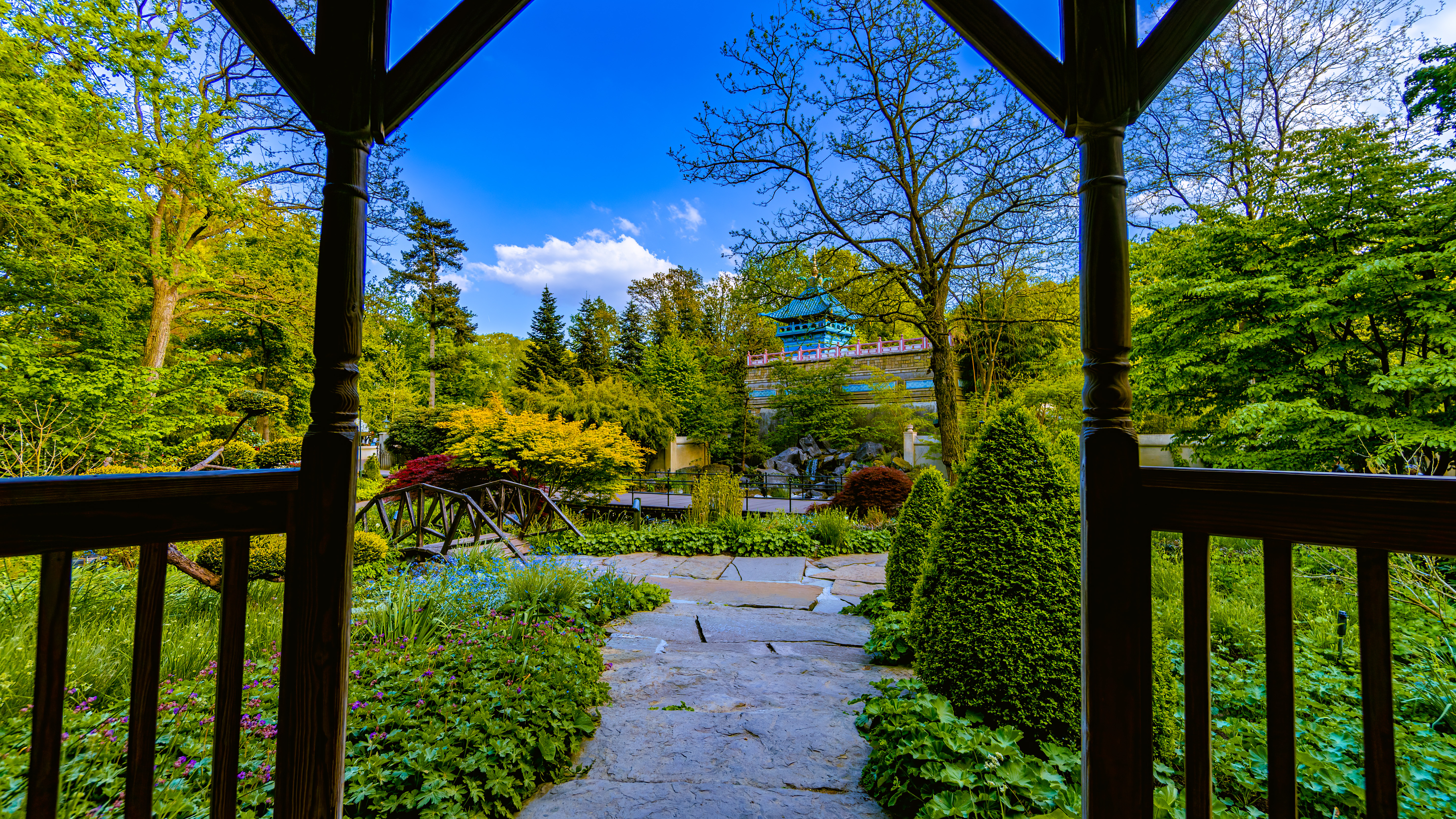 De chinese nachtegaal