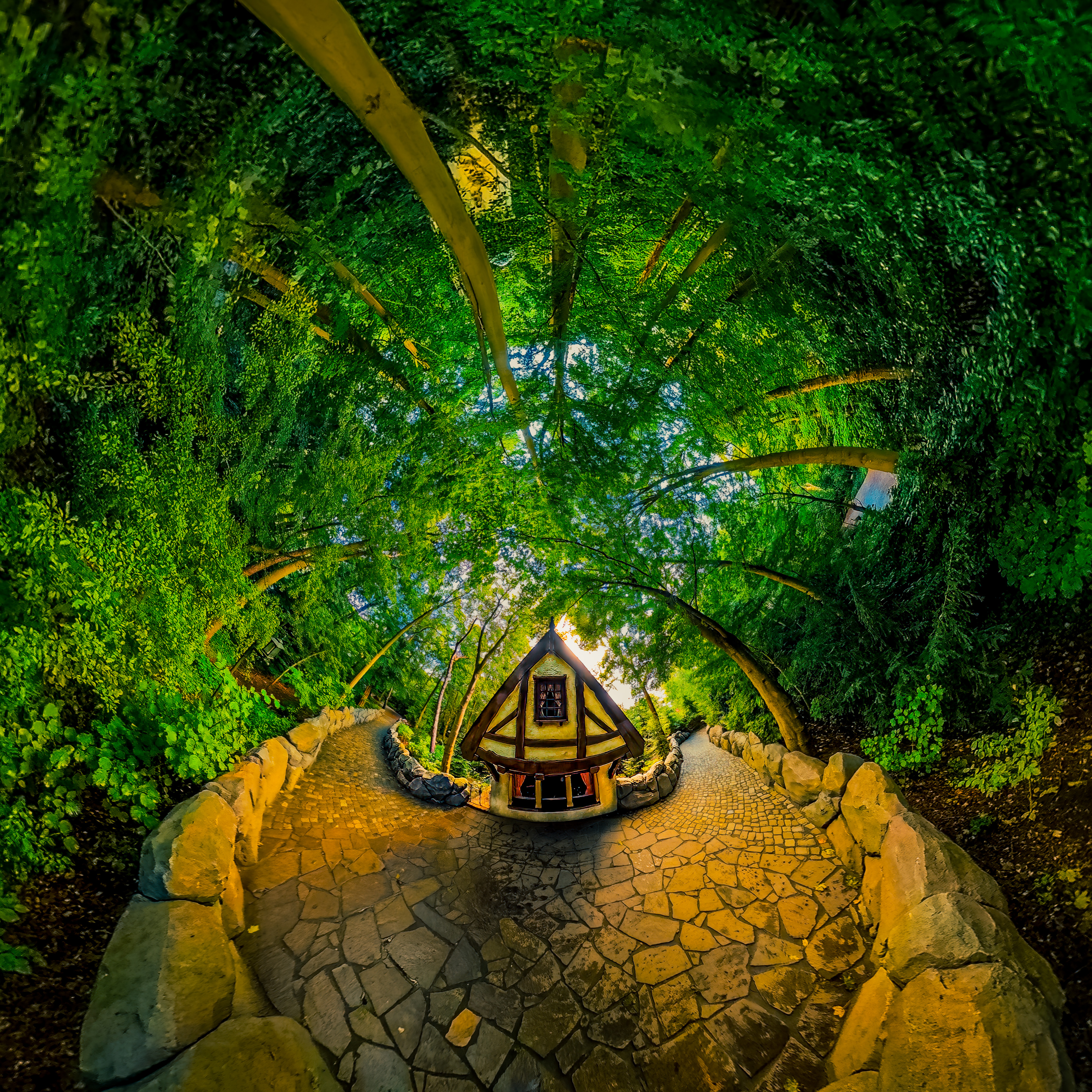 De Wolf en de 7 Geitjes