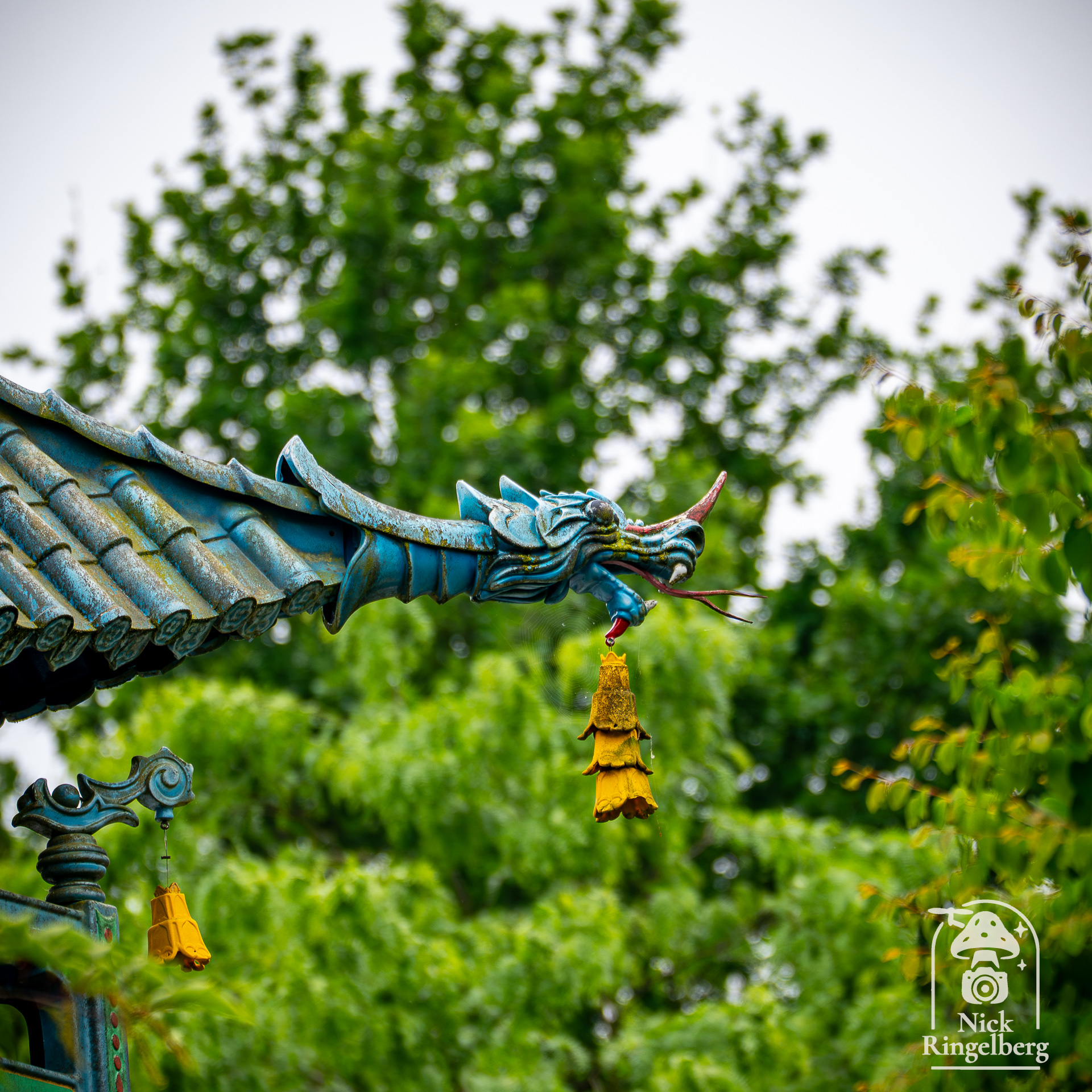 De chinese nachtegaal