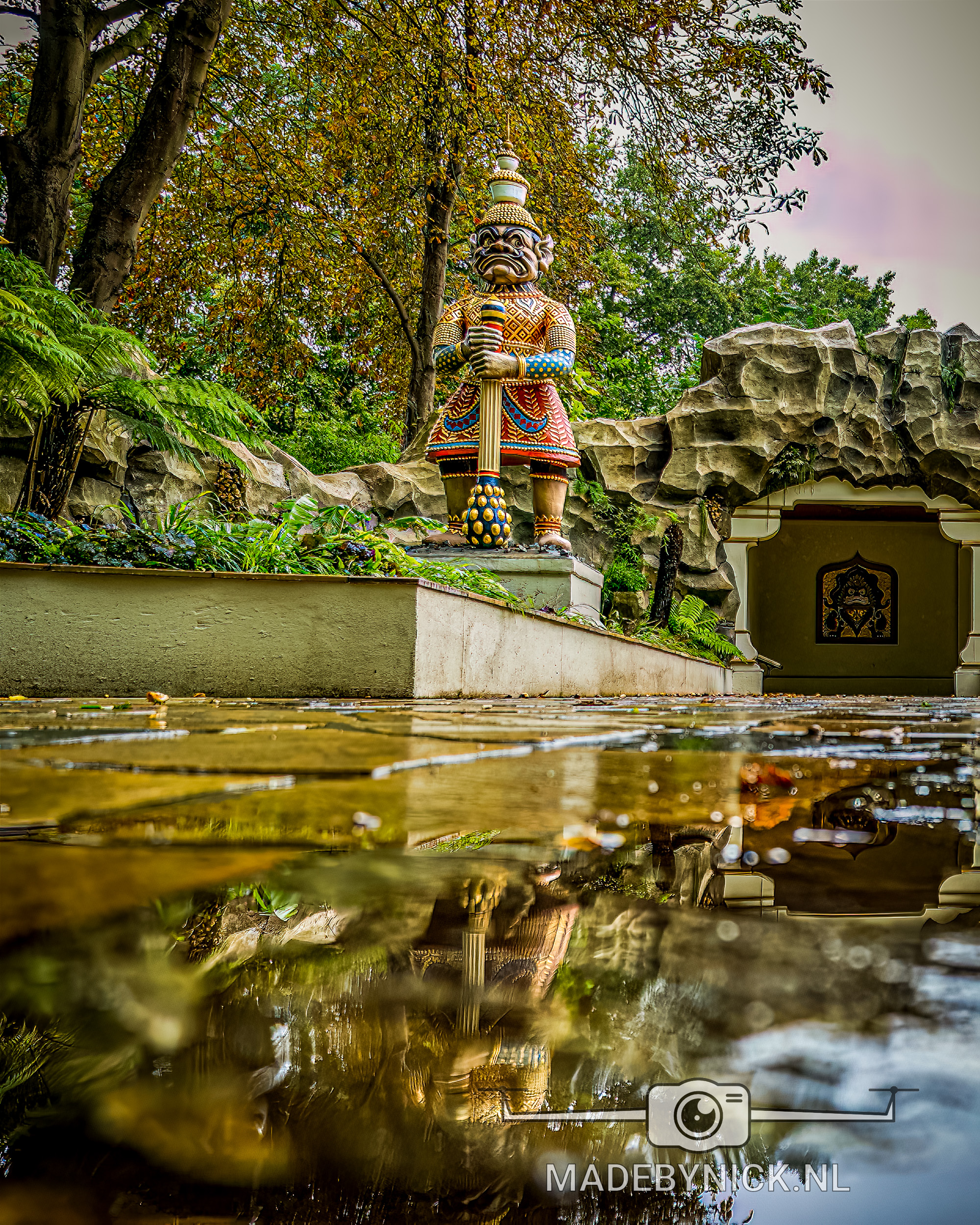 De Indische Waterlelies