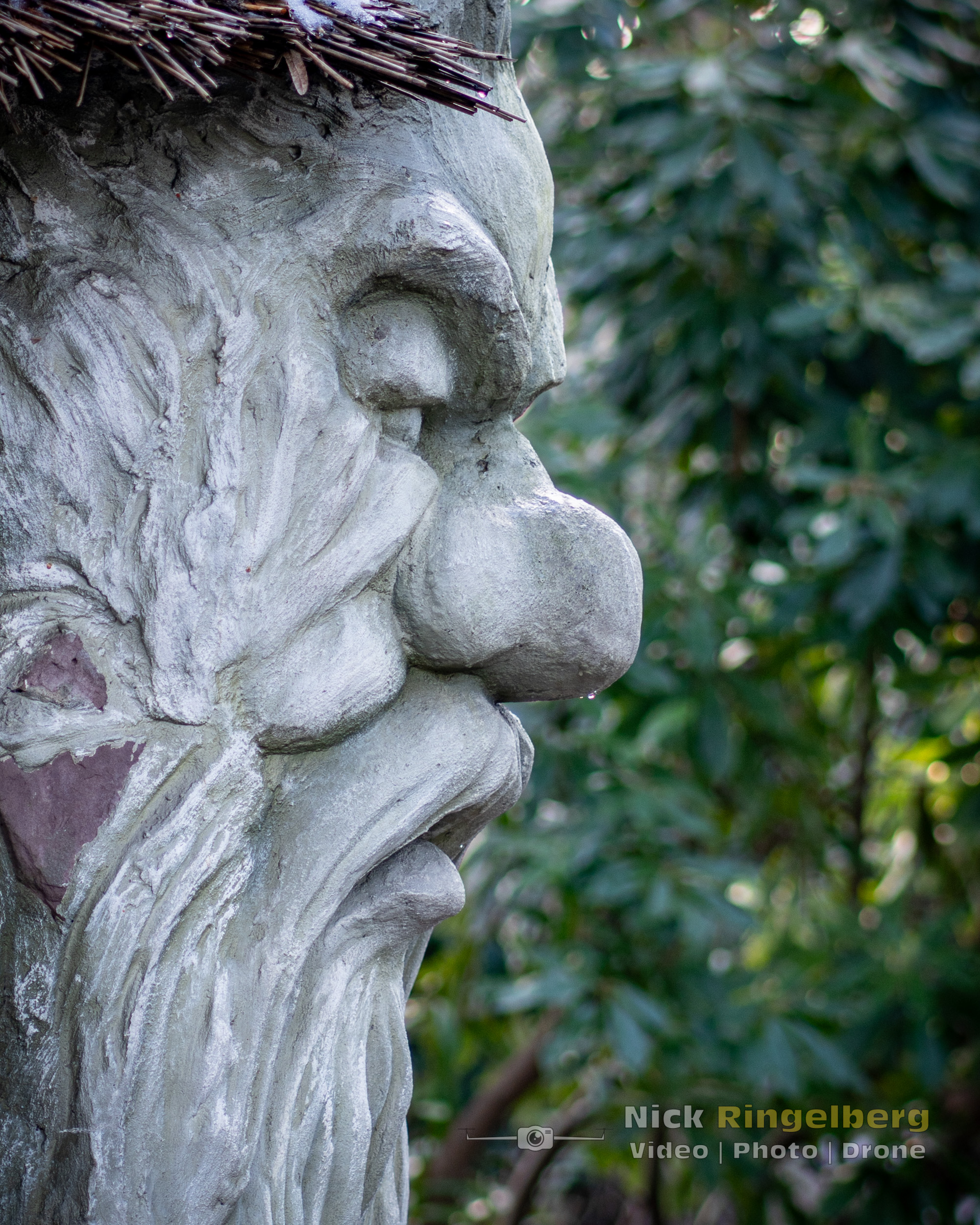 De Wolf en de 7 Geitjes