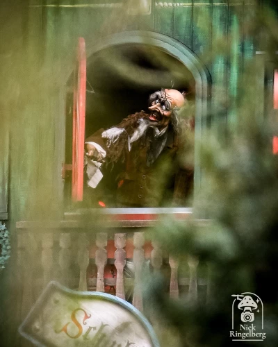 De Efteling in 9 foto's ❤️
Ken jij alle plekken van de foto's?

#efteling #themeparks #brabant #pretpark #photo