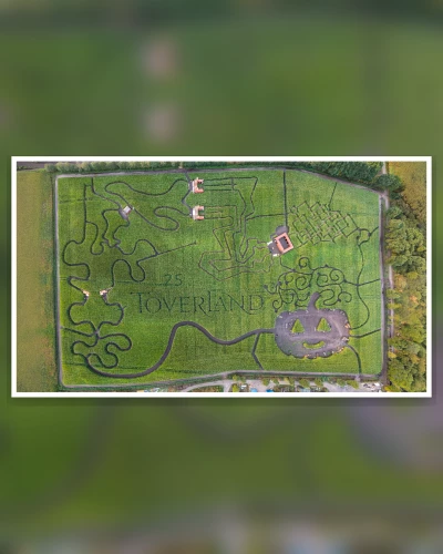 Doolhof!

#toverland #themeparks #maze #labyrint #halloween