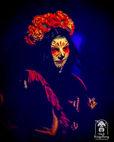 Morgen gaat de kluis weer open in Toverland

#toverland #themeparks #halloween