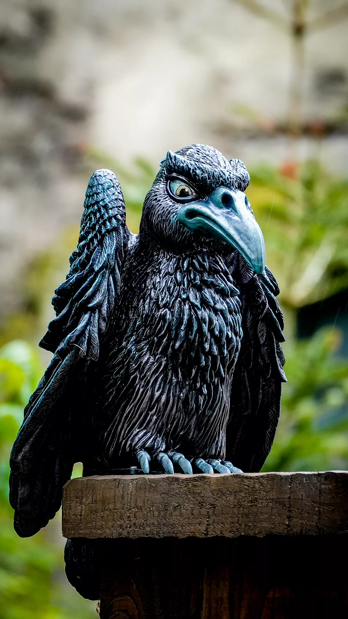 Raaf achter Danse Macabre