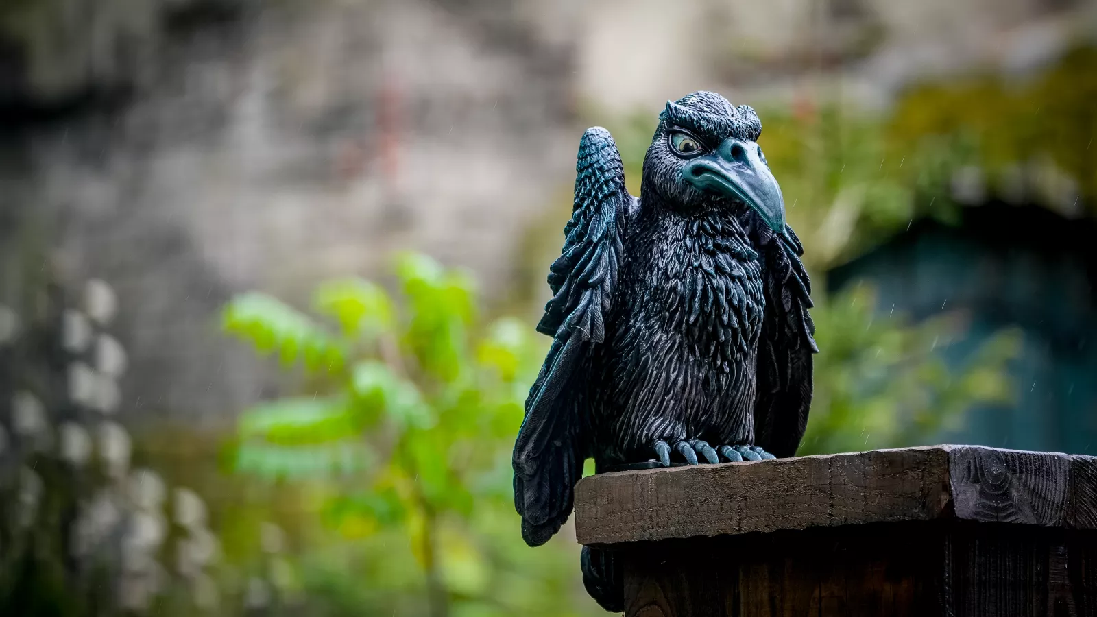 Raaf achter Danse Macabre