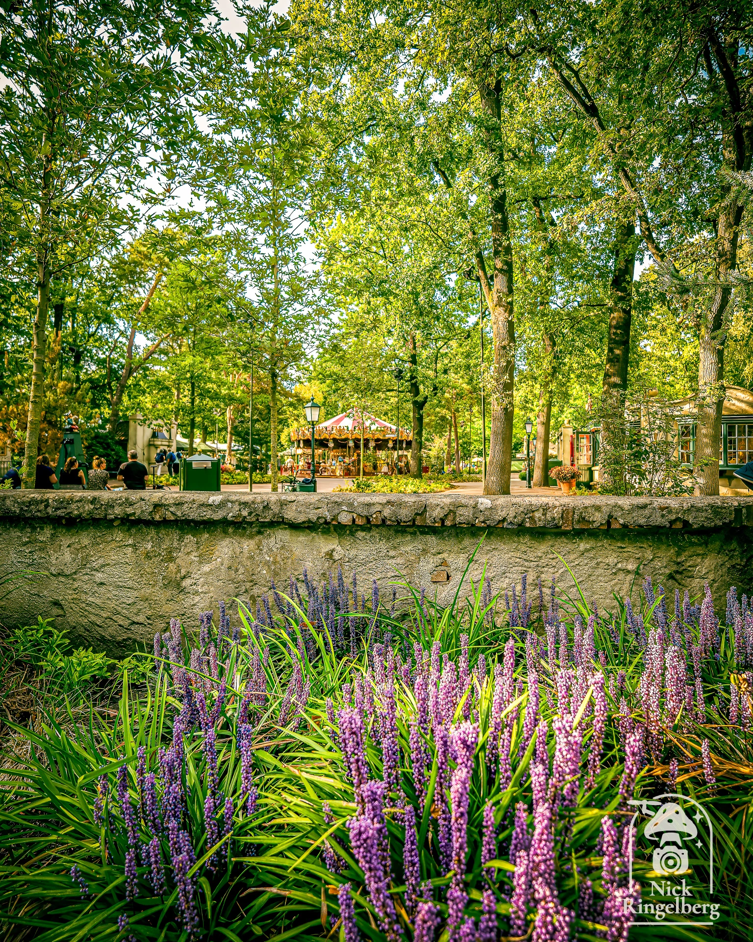Een mooie foto herinnering aan de Chinese Nachtegaal En natuurlijk nog wat meer mooie foto's #efteling #sprookjesbos #chinesenachtergaal #themeparks