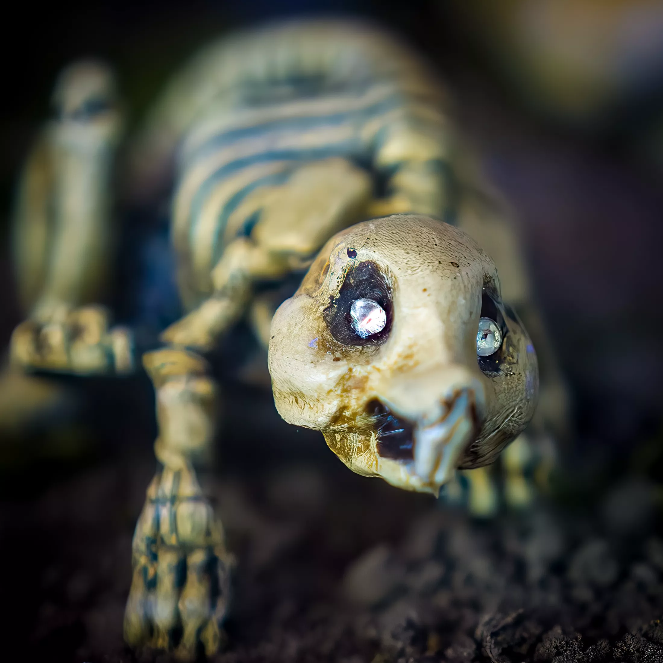 Spookslot