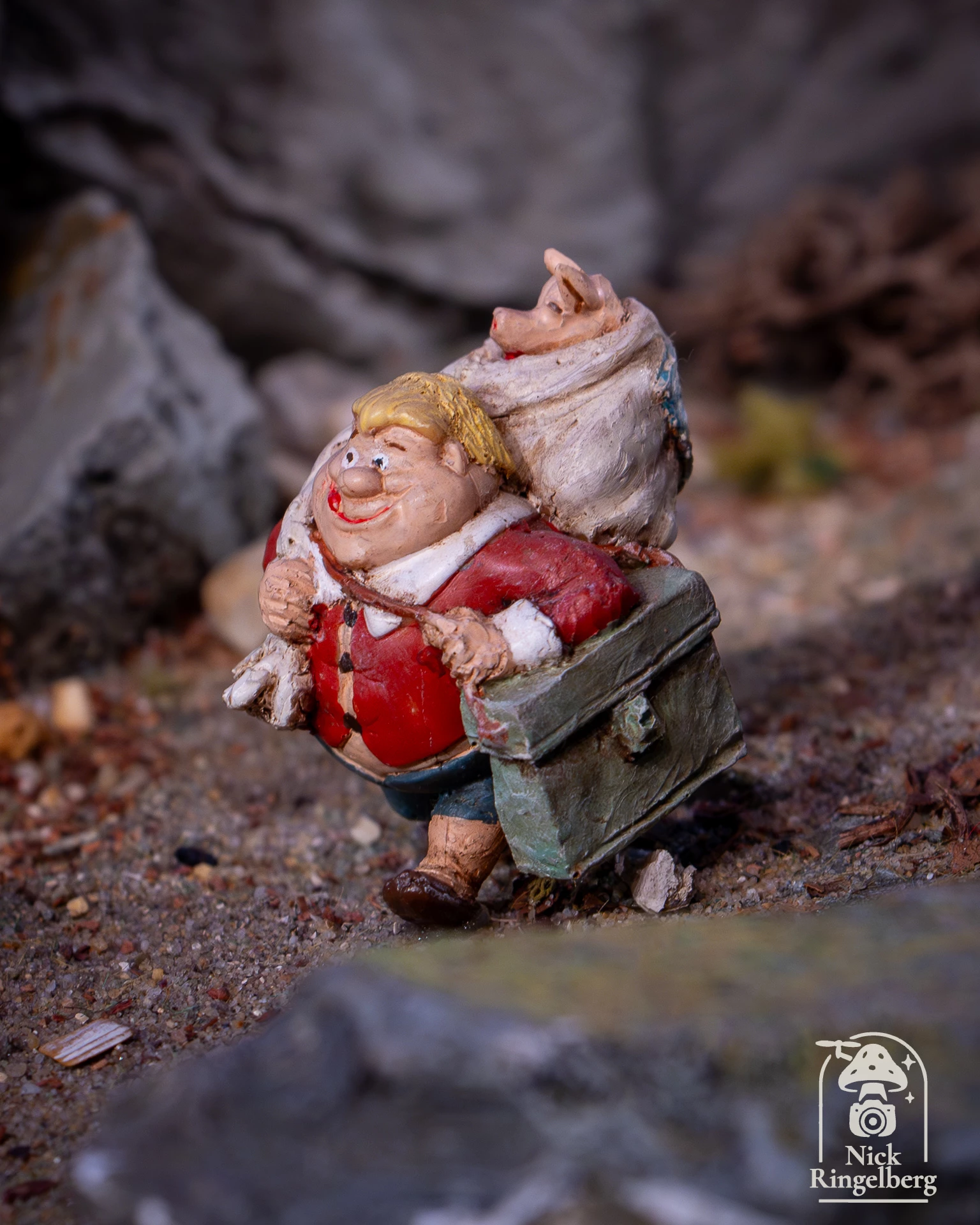 De Efteling ❤️ Wat verwacht je van de Zomer Efteling 2026? Nieuwe Acts? Wat zie je zelf graag? #efteling #themeparks #brabant #zomerefteling