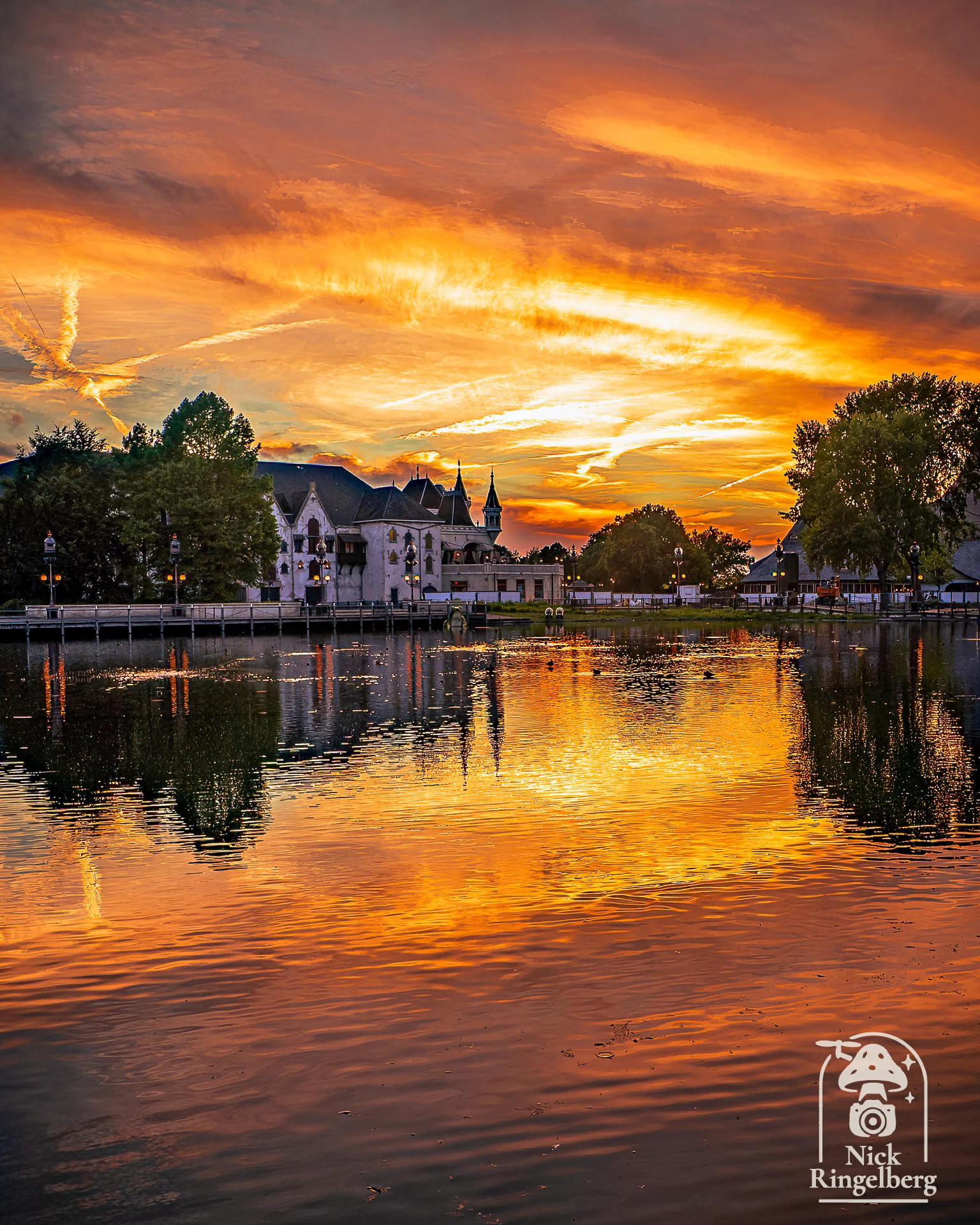 De Efteling ❤️ #efteling #themeparks #pretparken #sprookjesbos #brabant