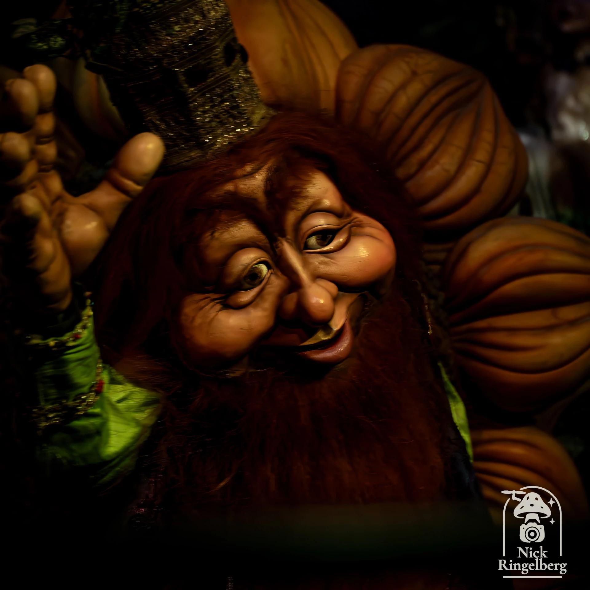 Droomvlucht in de Efteling ❤️ #efteling #droomvlucht #themeparks #magical #fairytails