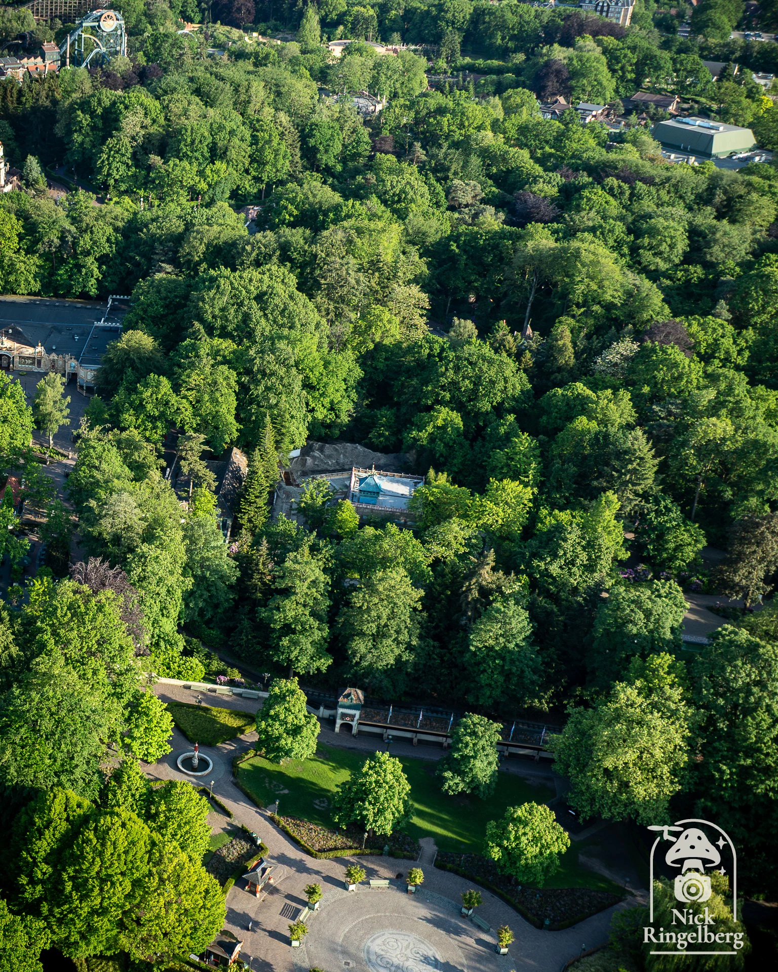 Bouwupdate De Sprookjesbibliotheek #efteling #sprookjesbos #Sprookjesbibliotheek #themeparks