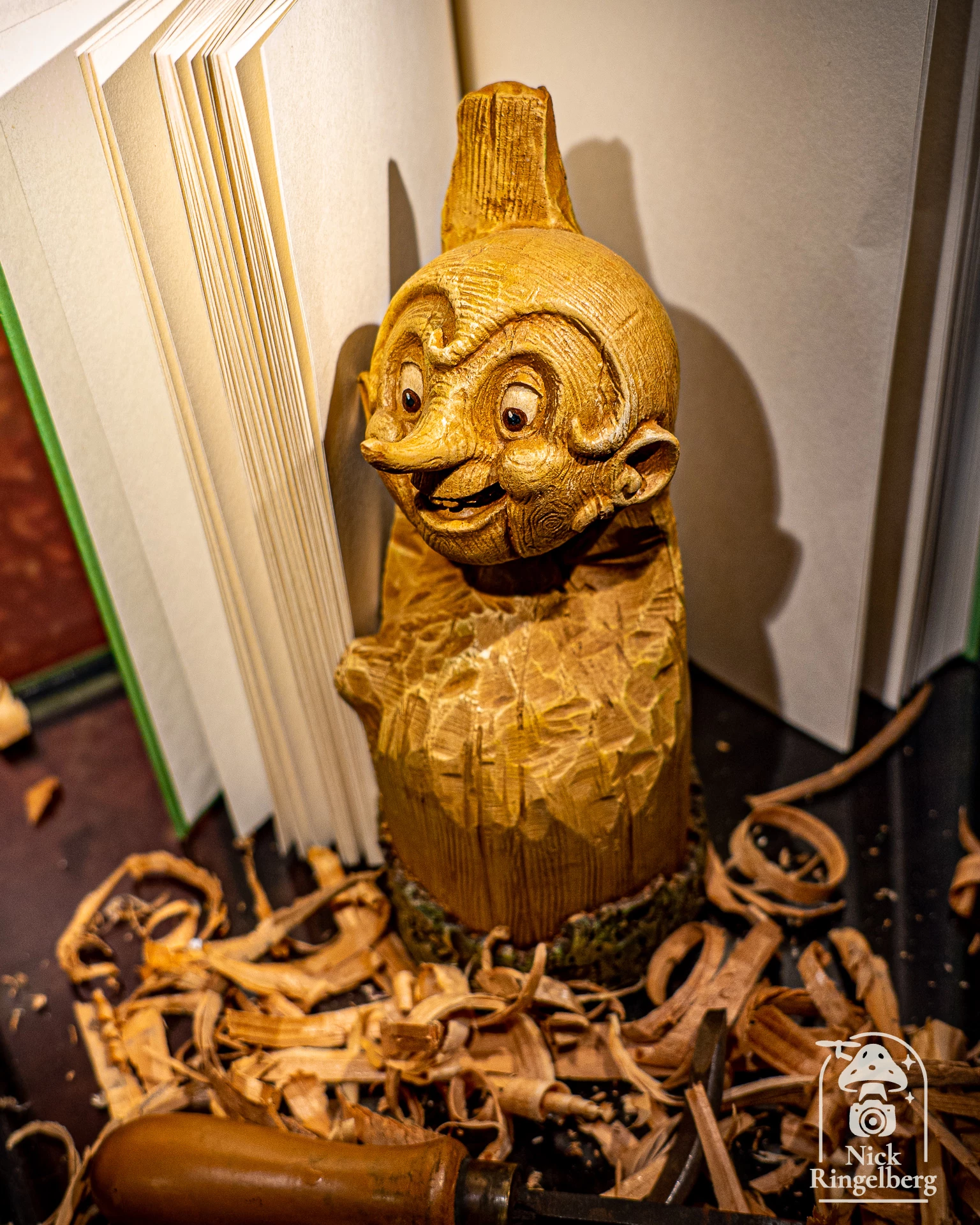 Efteling #efteling #themeparks #photo #brabant