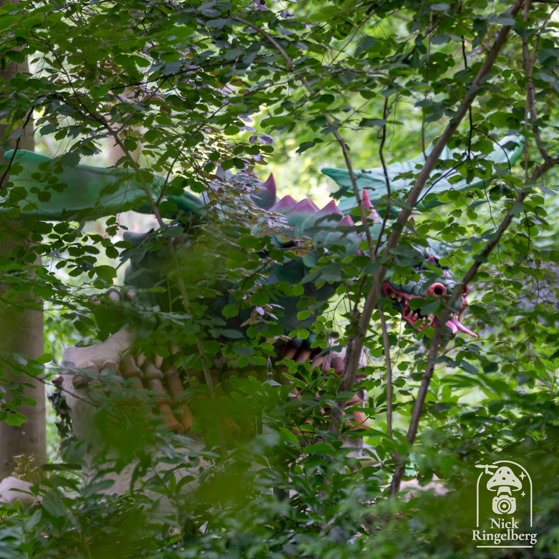 Draak Lichtgeraakt #efteling #draaklichtgeraakt #sprookjesbos #draak #themeparks