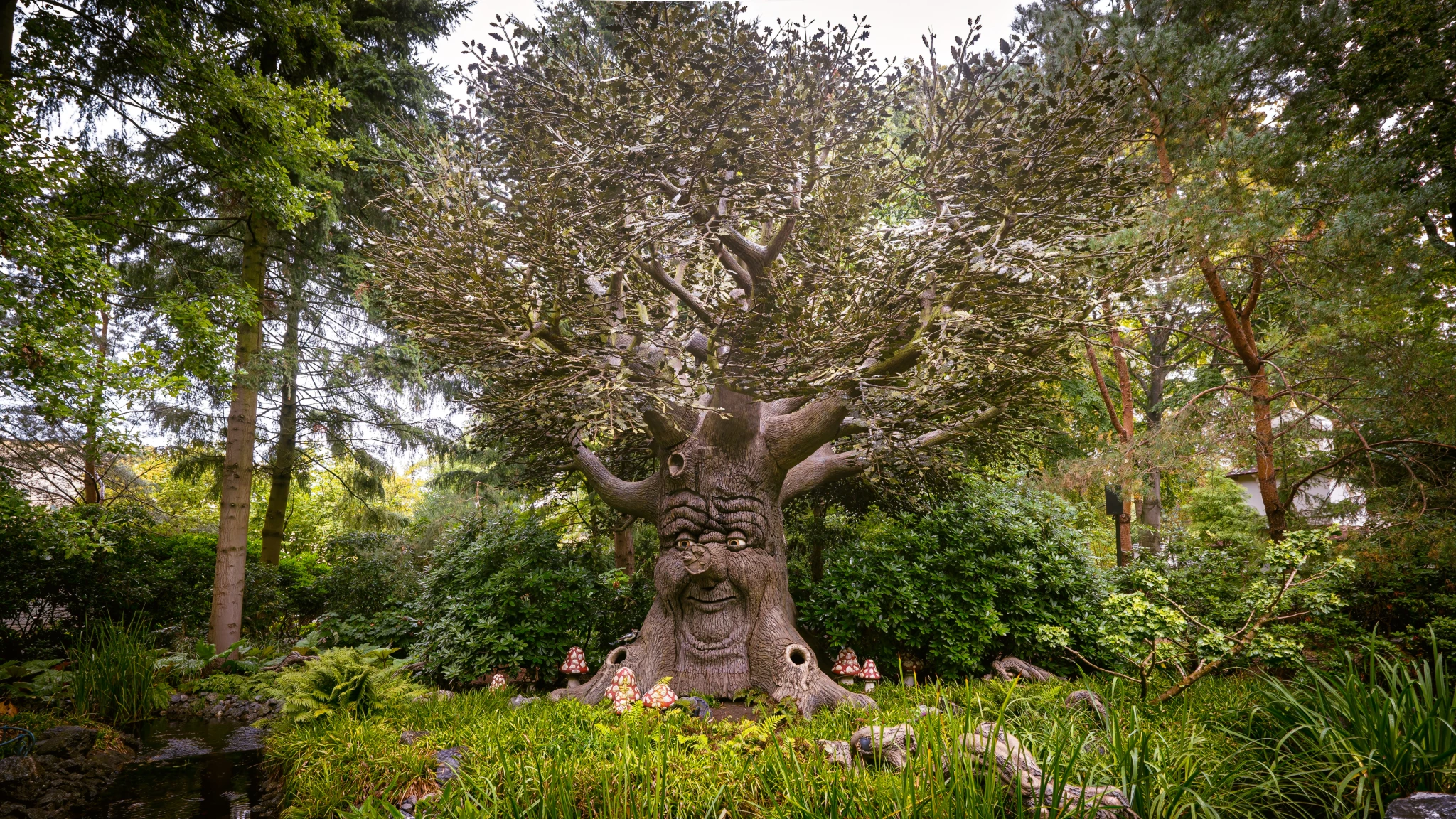 Sprookjesboom ❤️ #efteling #sprookjesboom #sprookjesbos #themeparks