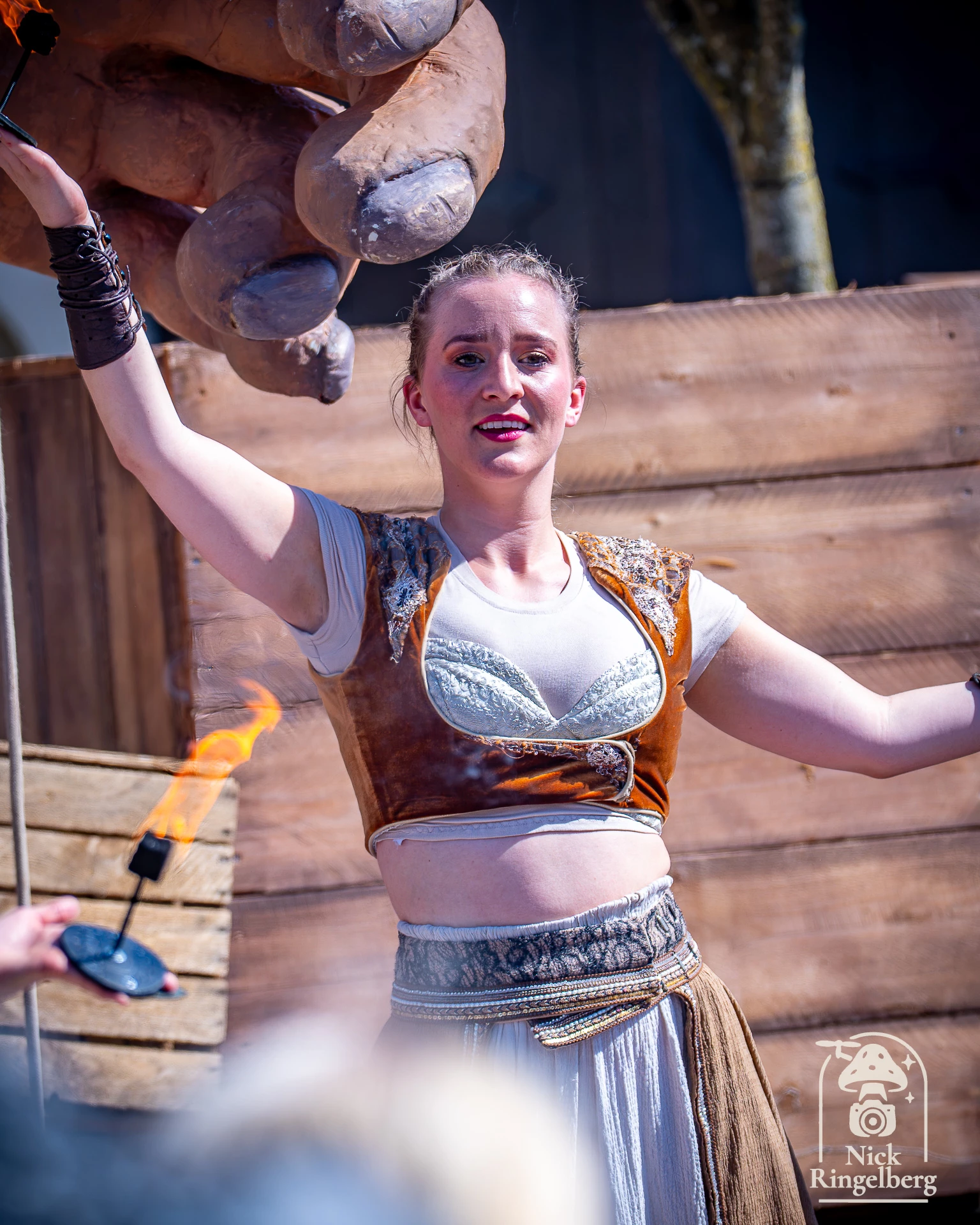 De zomer Efteling is weer van start! Waar kijk jij het meeste naar uit #efteling #zomerefteling #themeparks #summer