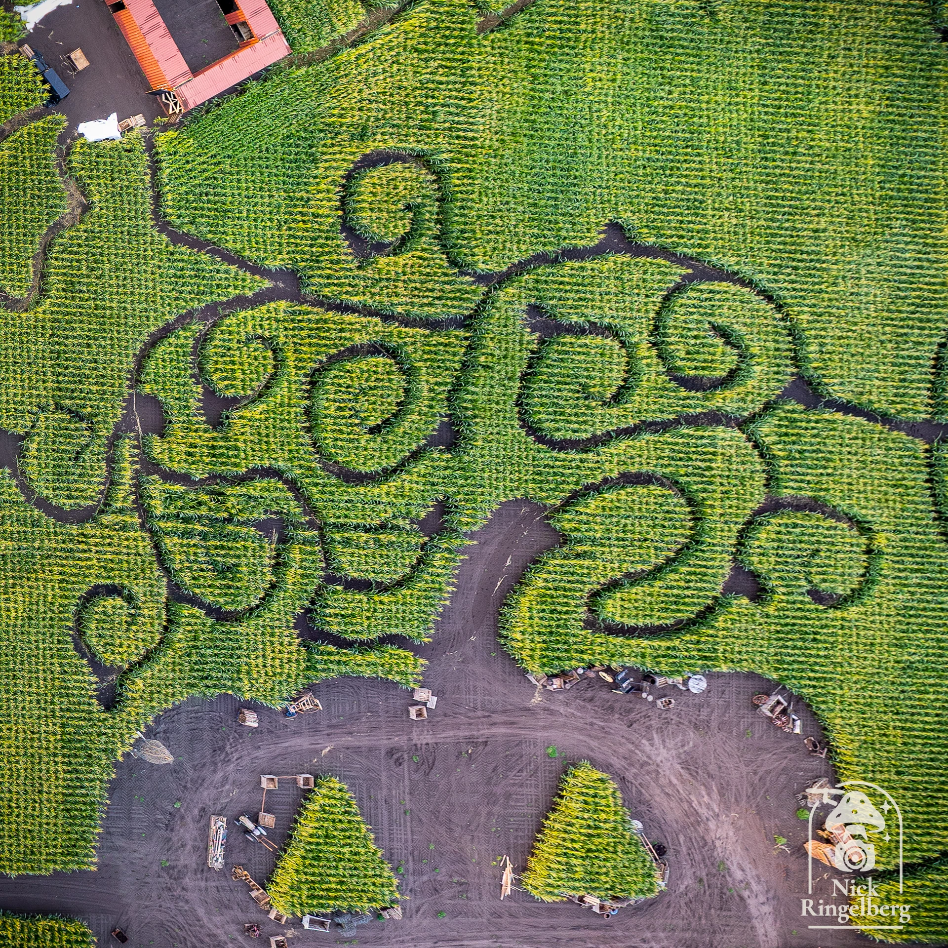 Schuift Halloween in Toverland dit jaar weer? Wordt het pompoenveld verplaatst en komt hier overdag een mini-kinderdoolhof? En verhuist Cirque naar het veldje waar deze zomer Hans met zijn tent stond? #Toverland #Halloween