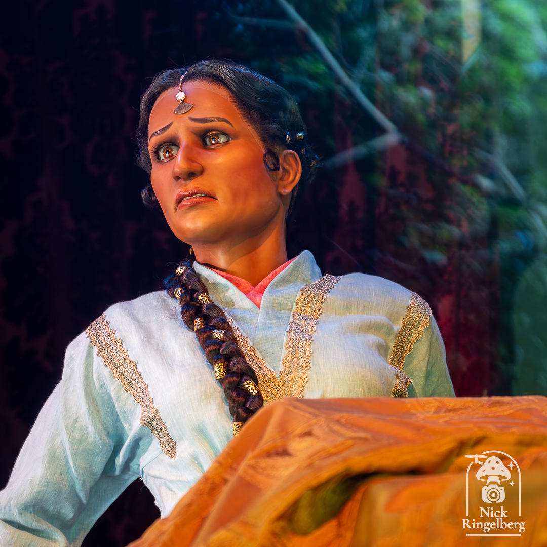 De Prinses op de Erwt