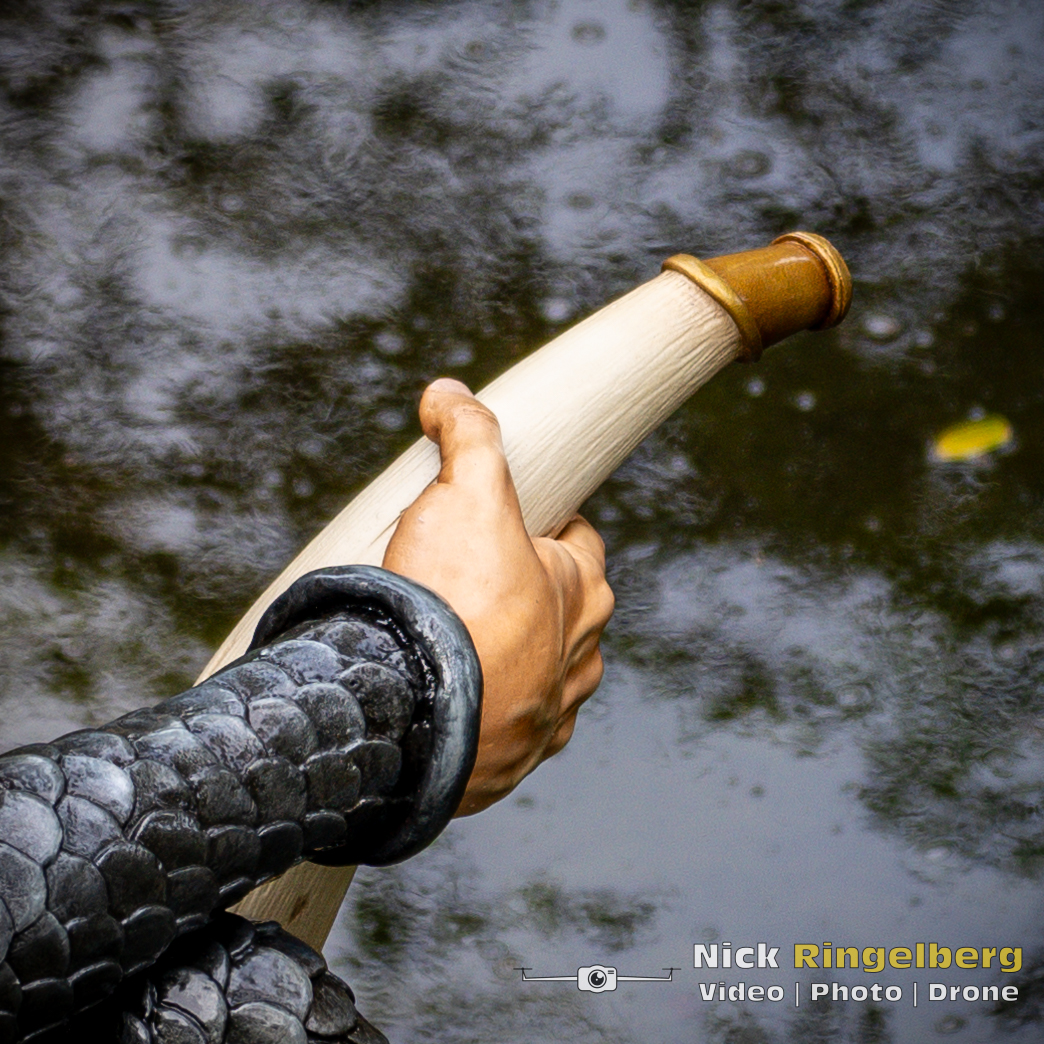 Doornroosje Detail foto wachter en uil