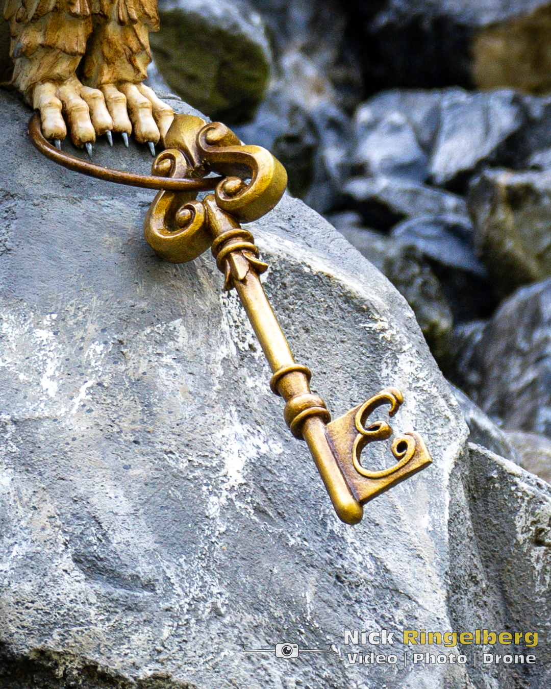 Doornroosje Detail foto wachter en uil