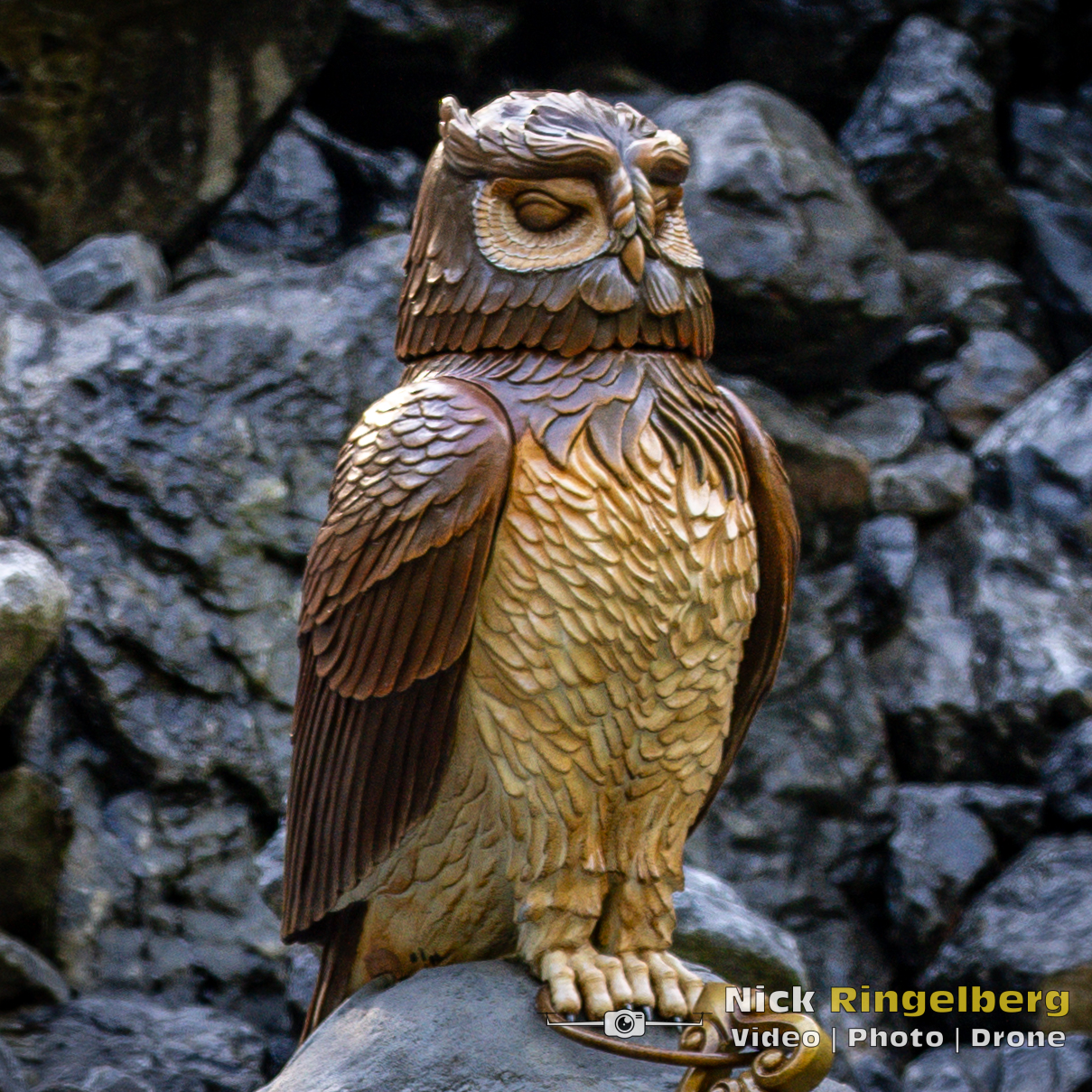 Doornroosje Detail foto wachter en uil