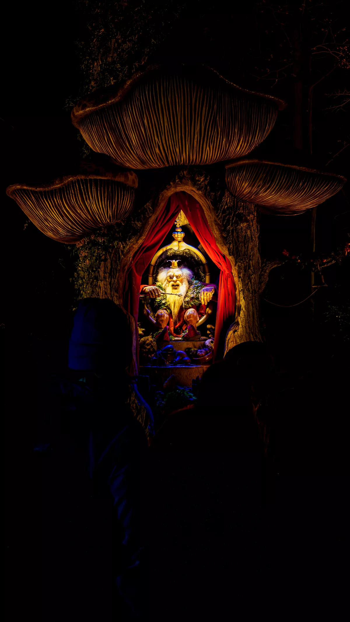 DSC08492-Verbeterd-NR_print