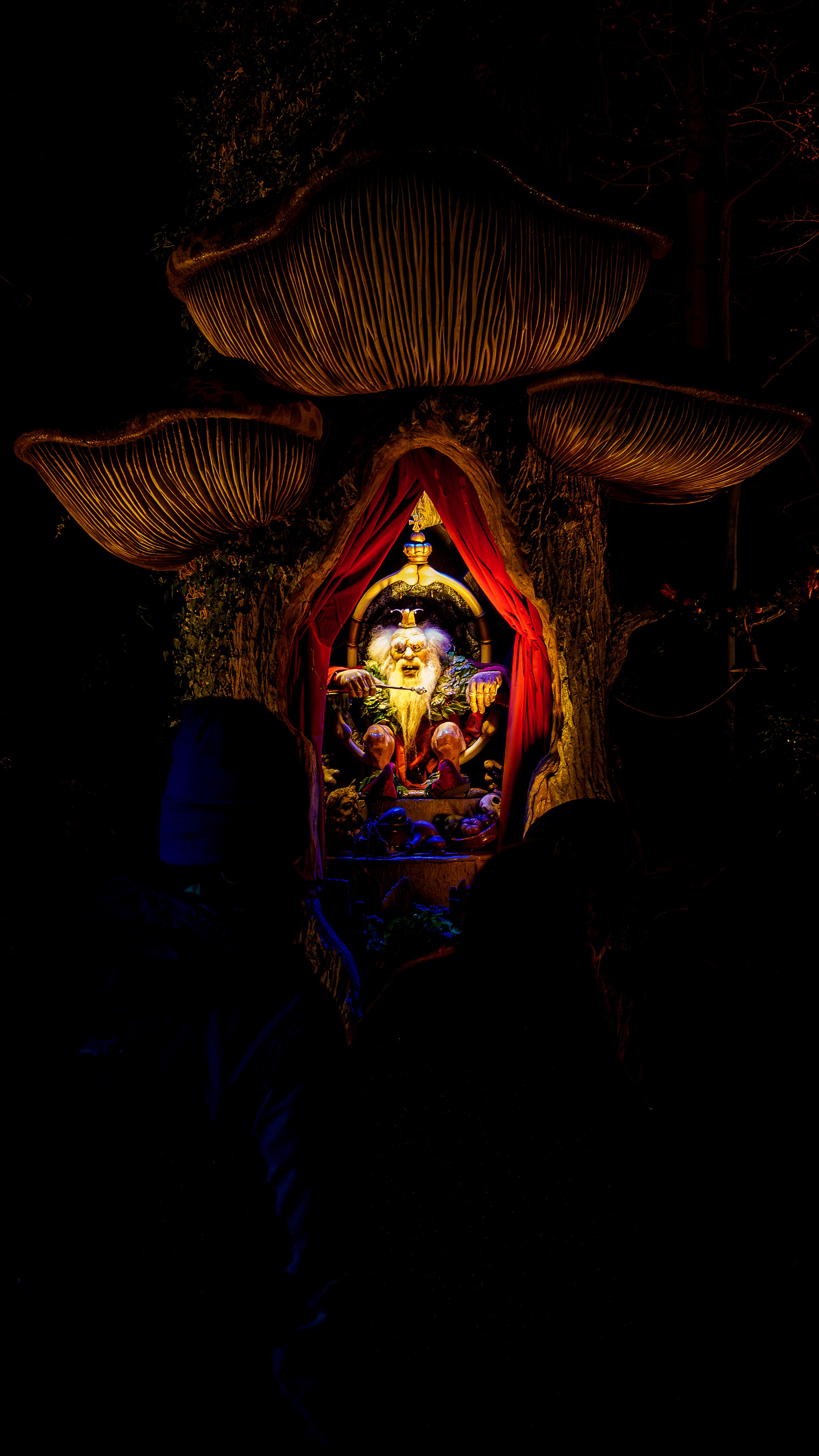 dsc08492-verbeterd-nr-print