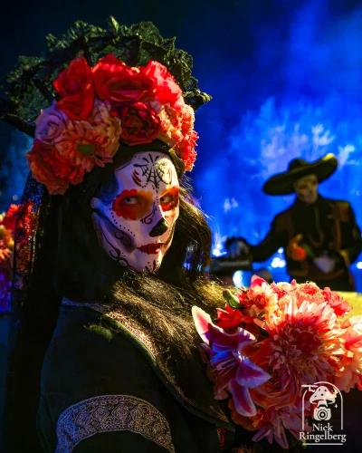 Halloween Toverland

#toverland #themeparks #sippy #halloween