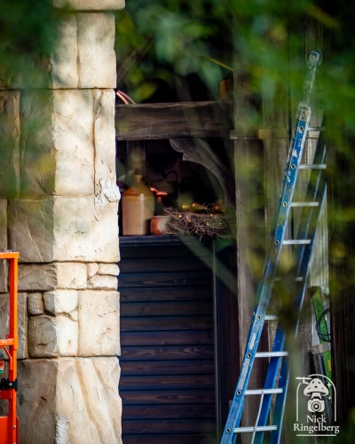 De Bevrijding Toiletten en Ravenring details.

#efteling #kleineboodschap #themeparks
