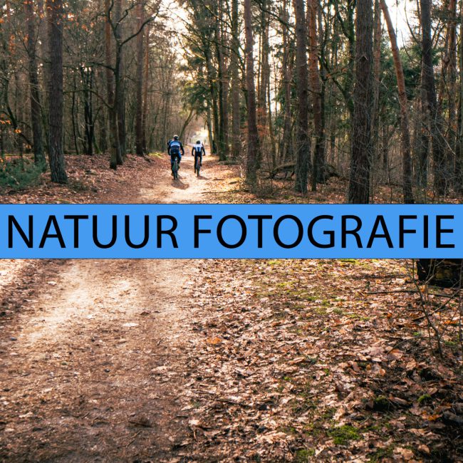 Natuur Fotografie