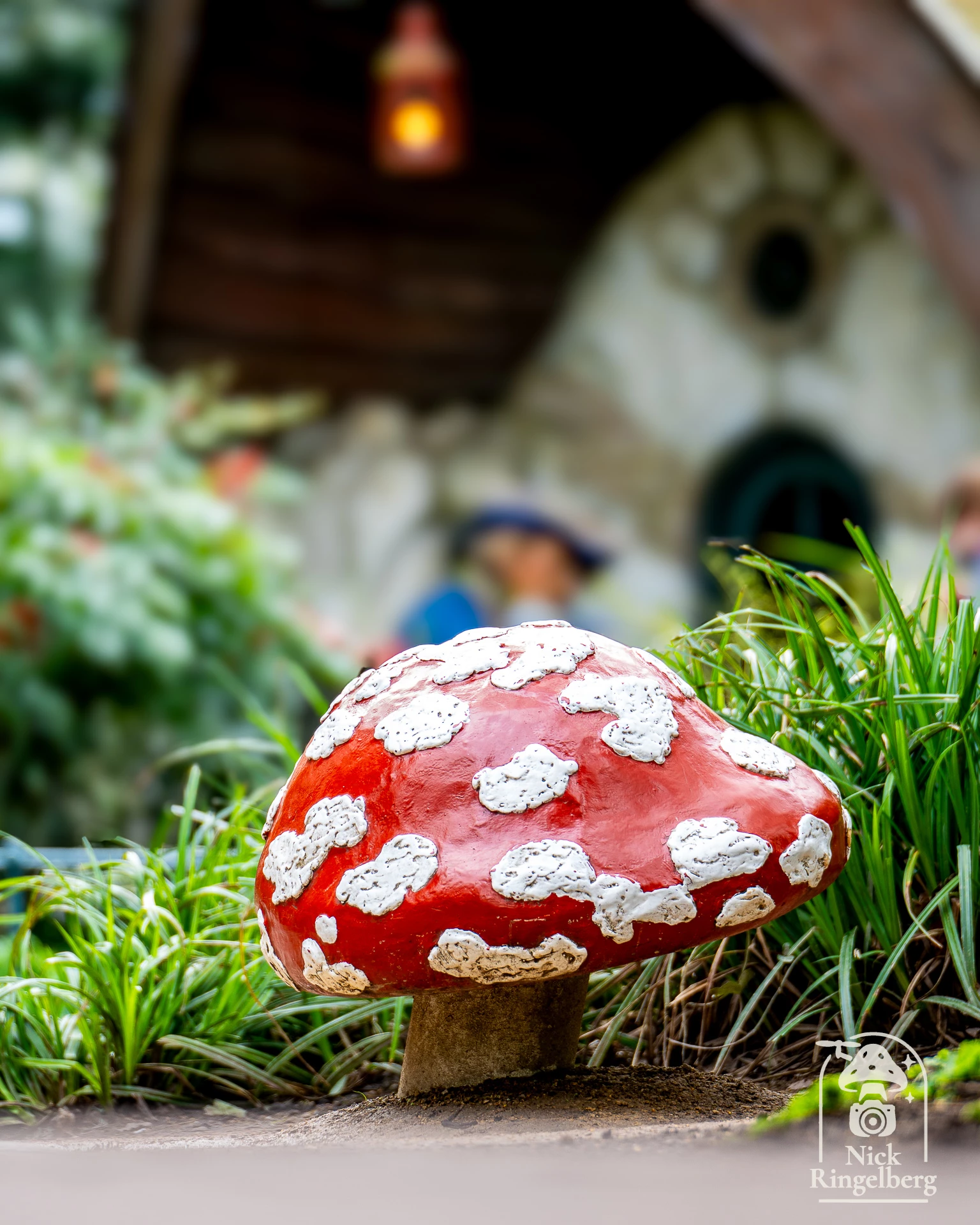De Efteling in 10 mooie verschillende foto's #efteling #themeparks #summer #happyplace #brabant