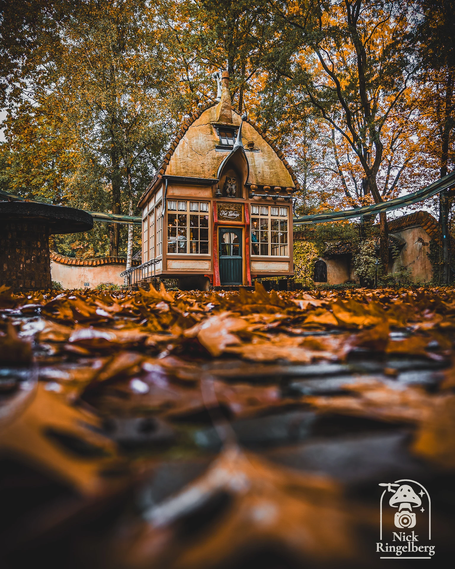 Een paar random Efteling foto's ❤️ Deel je eigen mooiste Efteling foto in je story op #instagram en tag me! #efteling #themeparks #happyplace #brabant #enjoy #pretpark