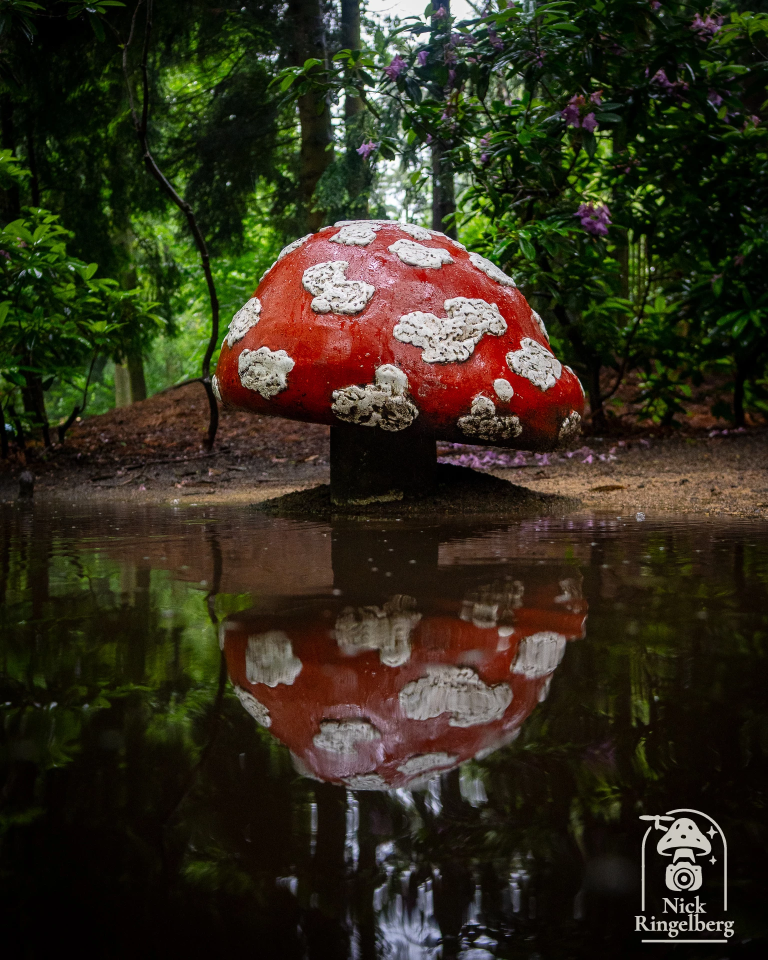 Tien mooie Efteling foto's Krijg je al zin om weer eens naar de Efteling te gaan? #efteling #themeparks #pretpark #brabant #sonyalpha